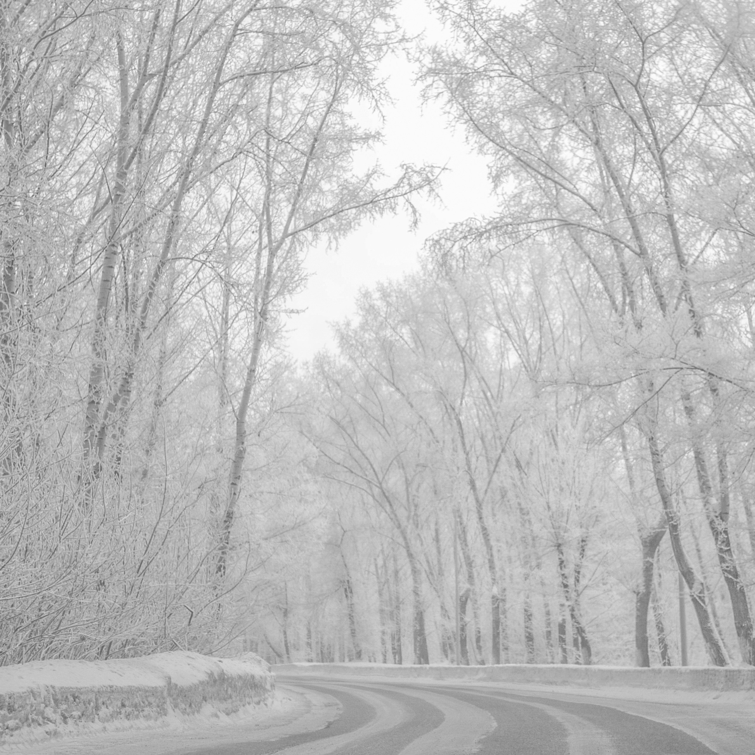 BW. 2003-2025. Евгений Курсков