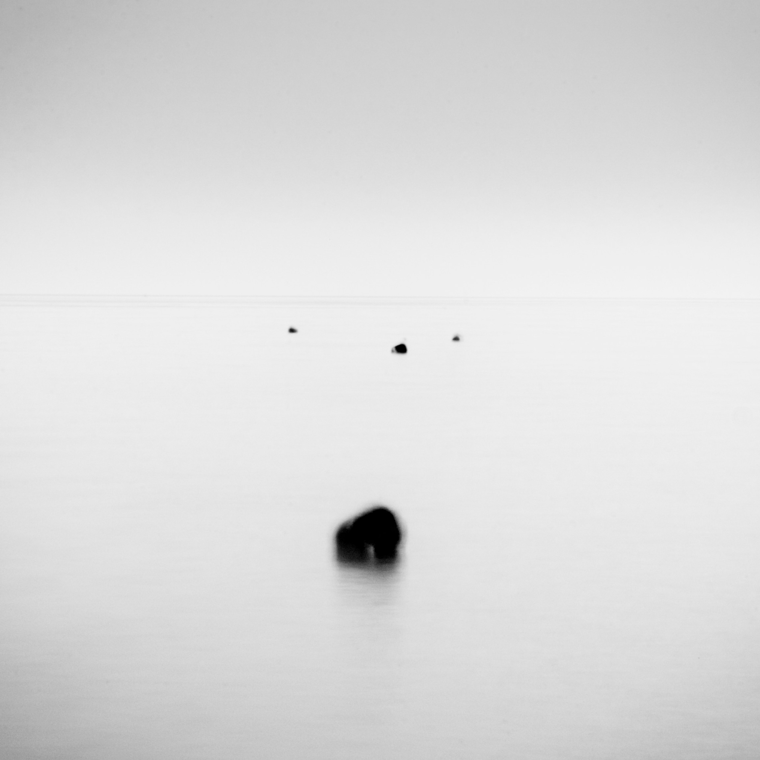 Белые. 2006-2010. Евгений Курсков