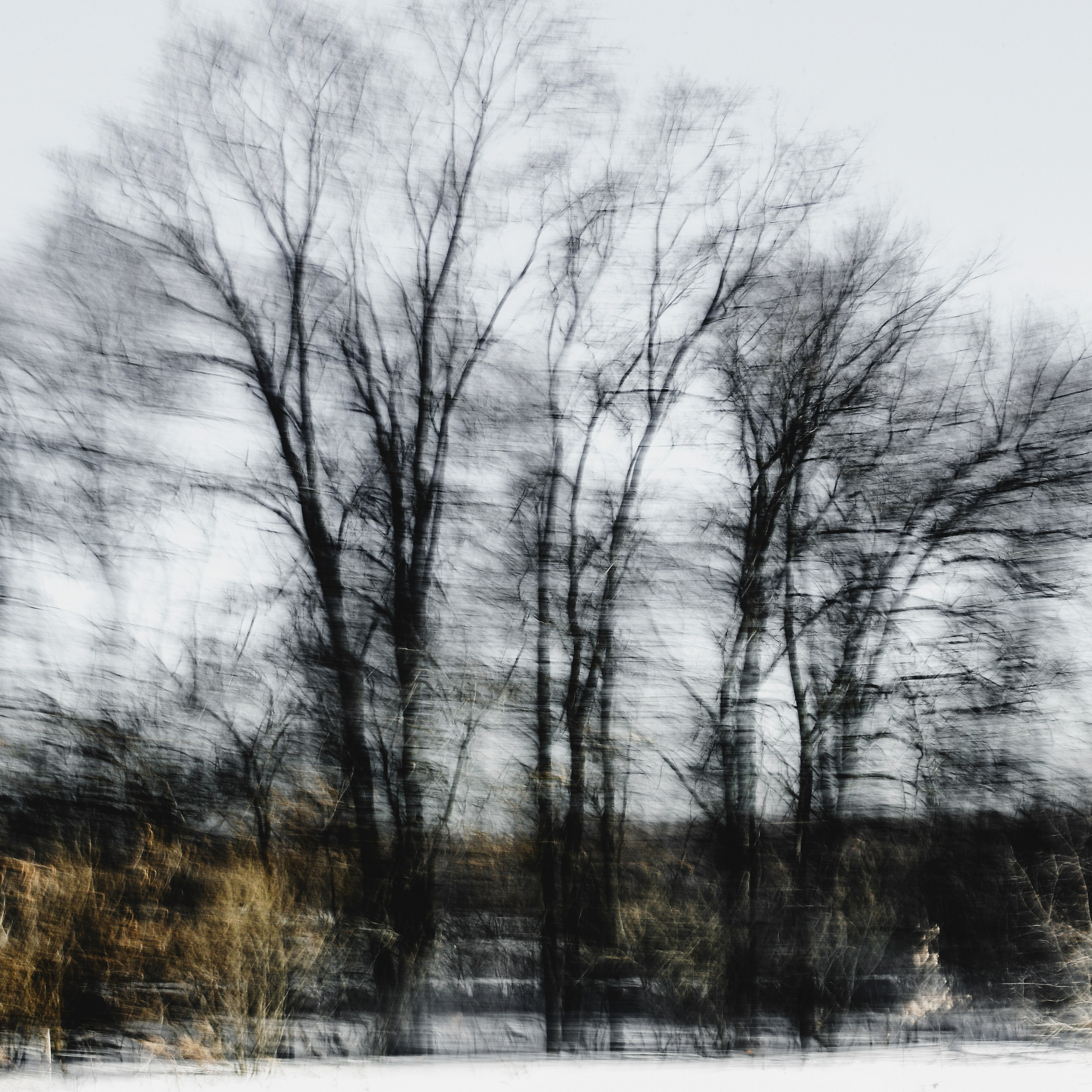 Colour. 2005-2025. Евгений Курсков