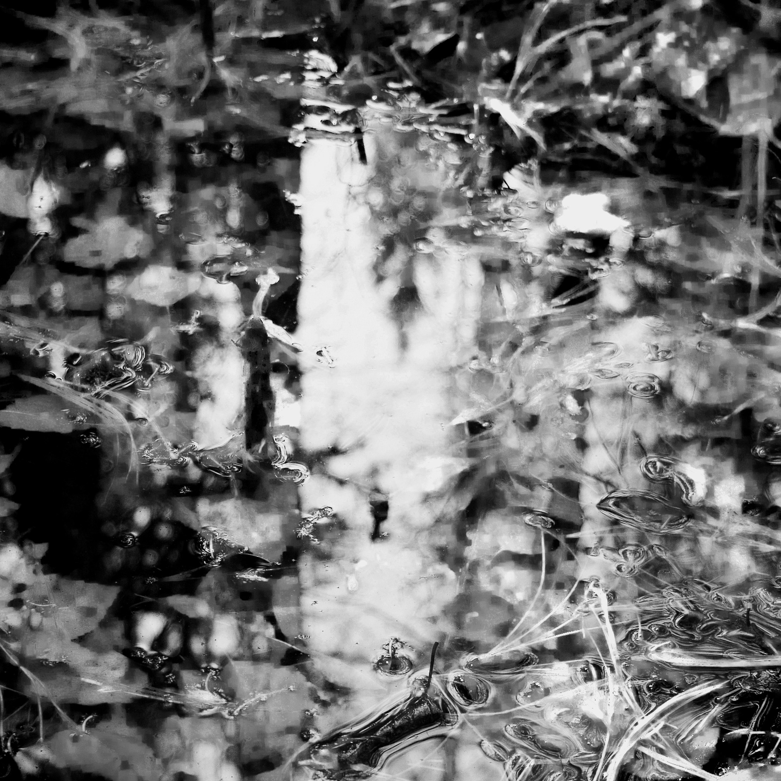 Темно-серые. 2006-20 10. Евгений Курсков