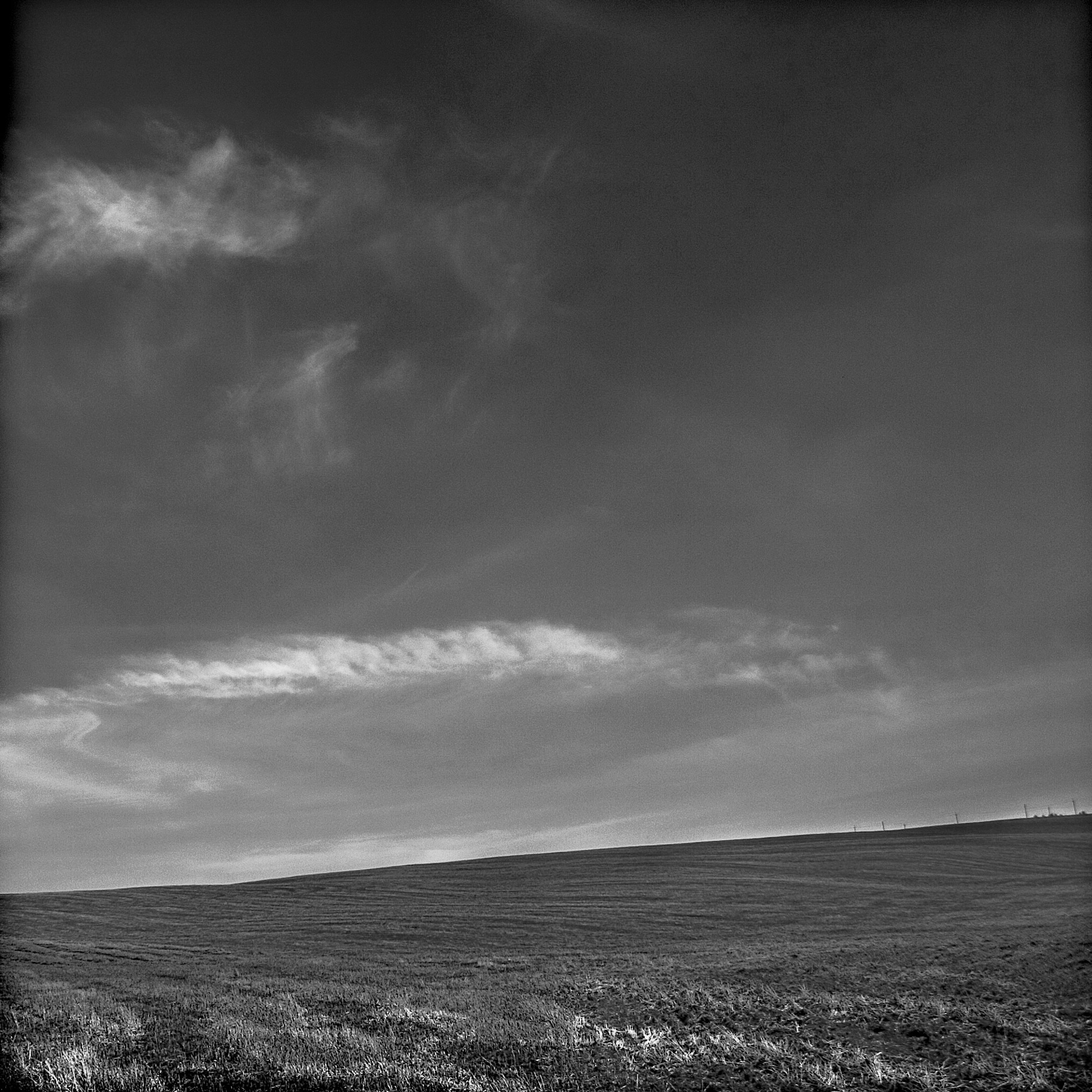 Темно-серые. 2006-20 10. Евгений Курсков