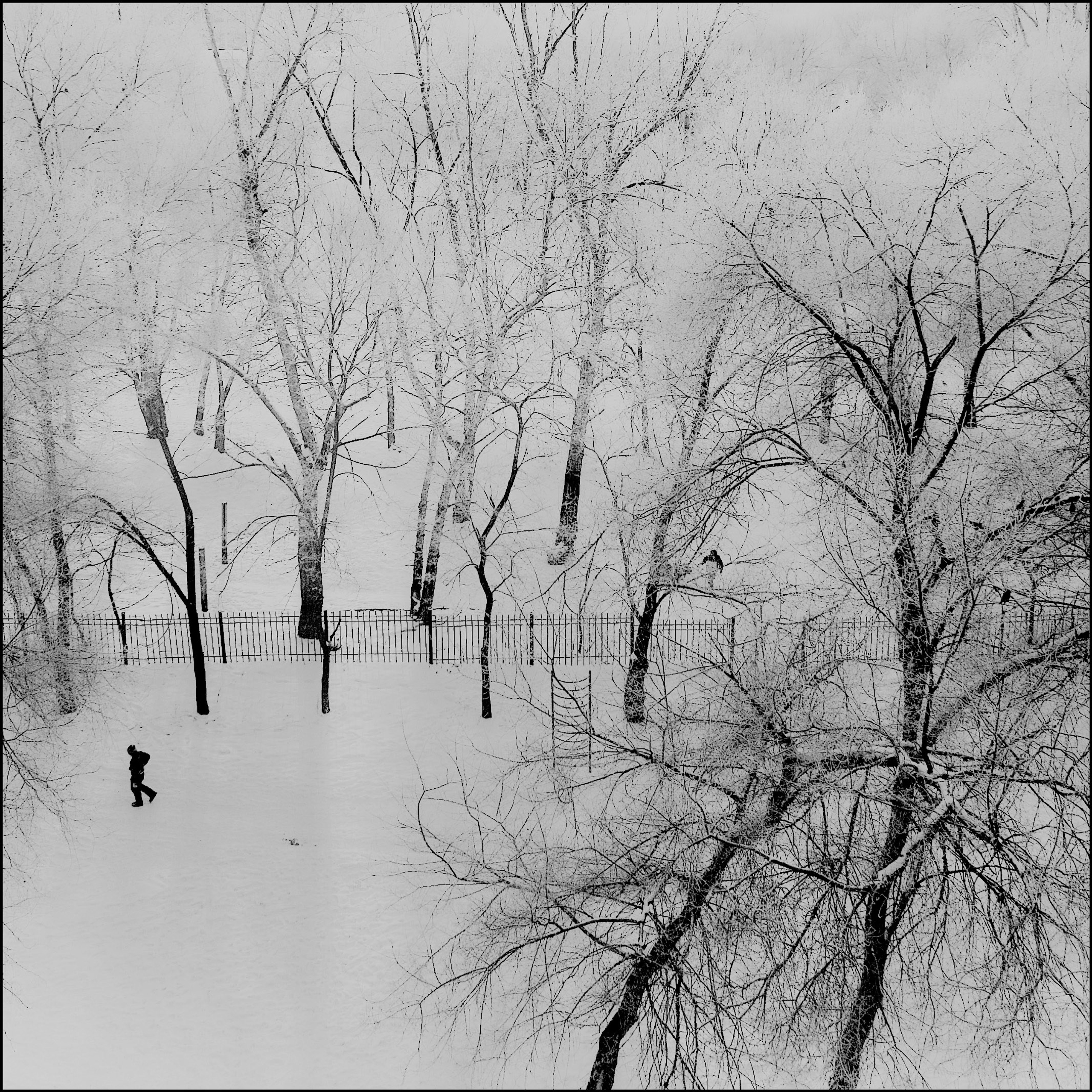 Квадраты: город. 2006-2010. Евгений Курсков