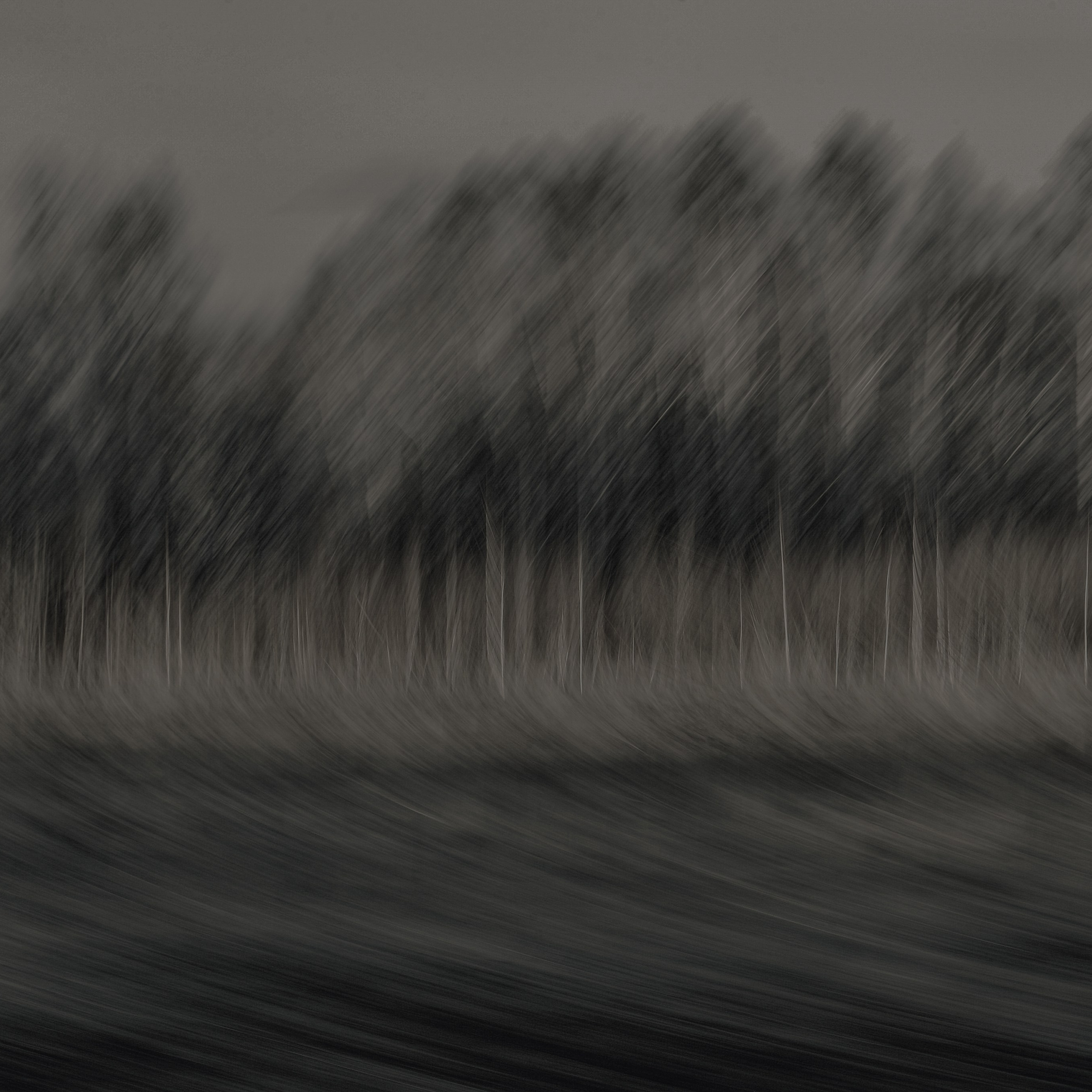 Not For Us. 2025. Евгений Курсков