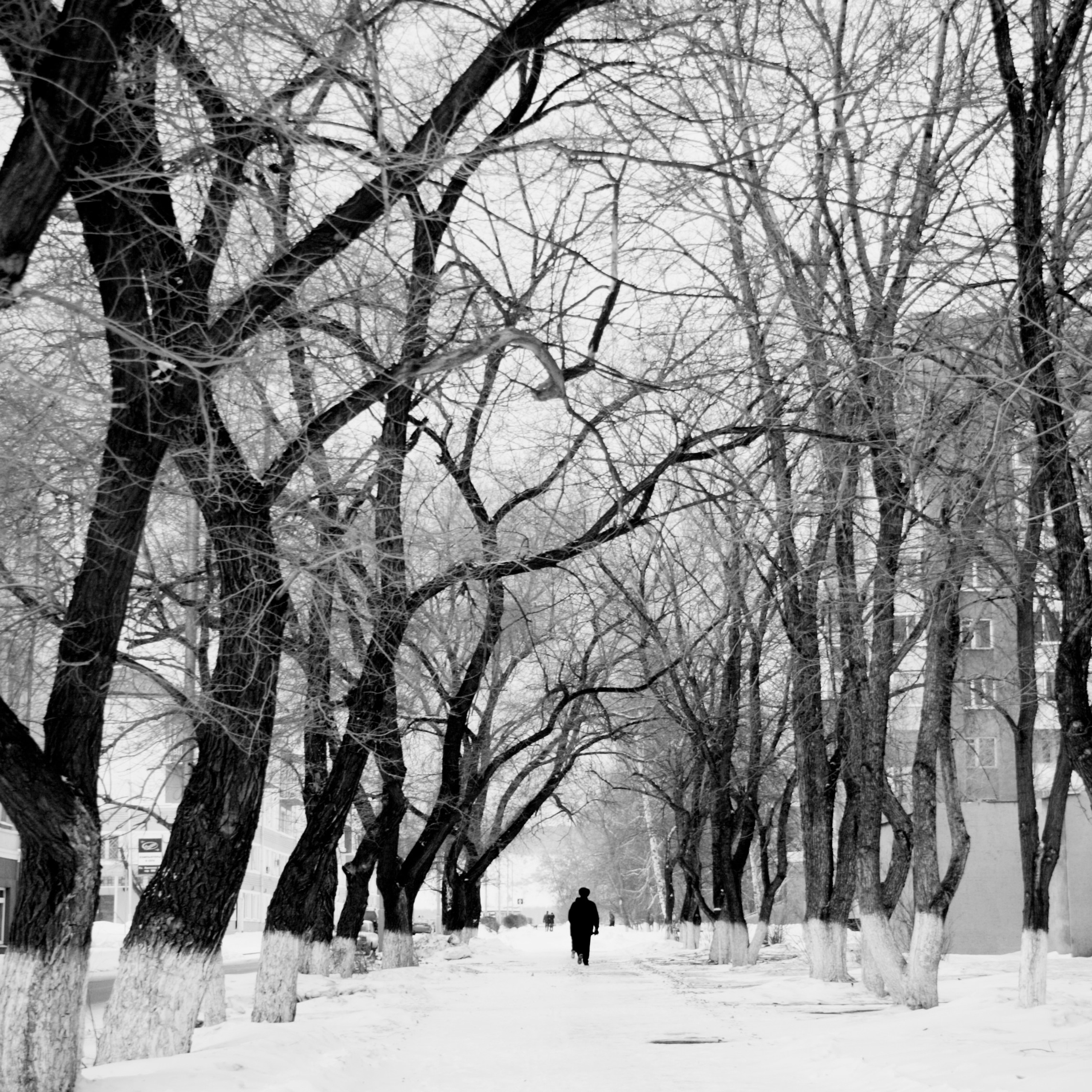 Квадраты: город. 2006-2010. Евгений Курсков