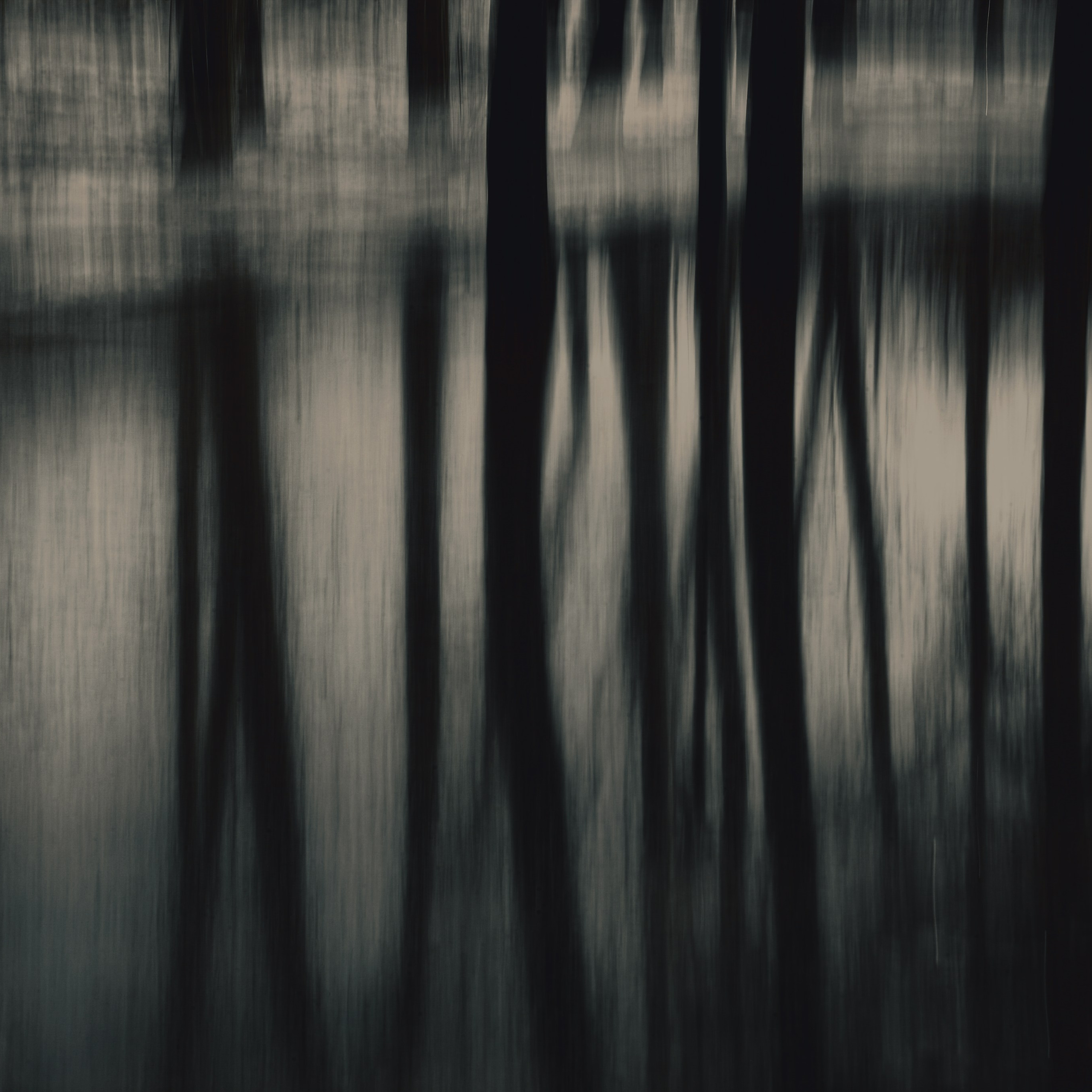 Not For Us. 2025. Евгений Курсков