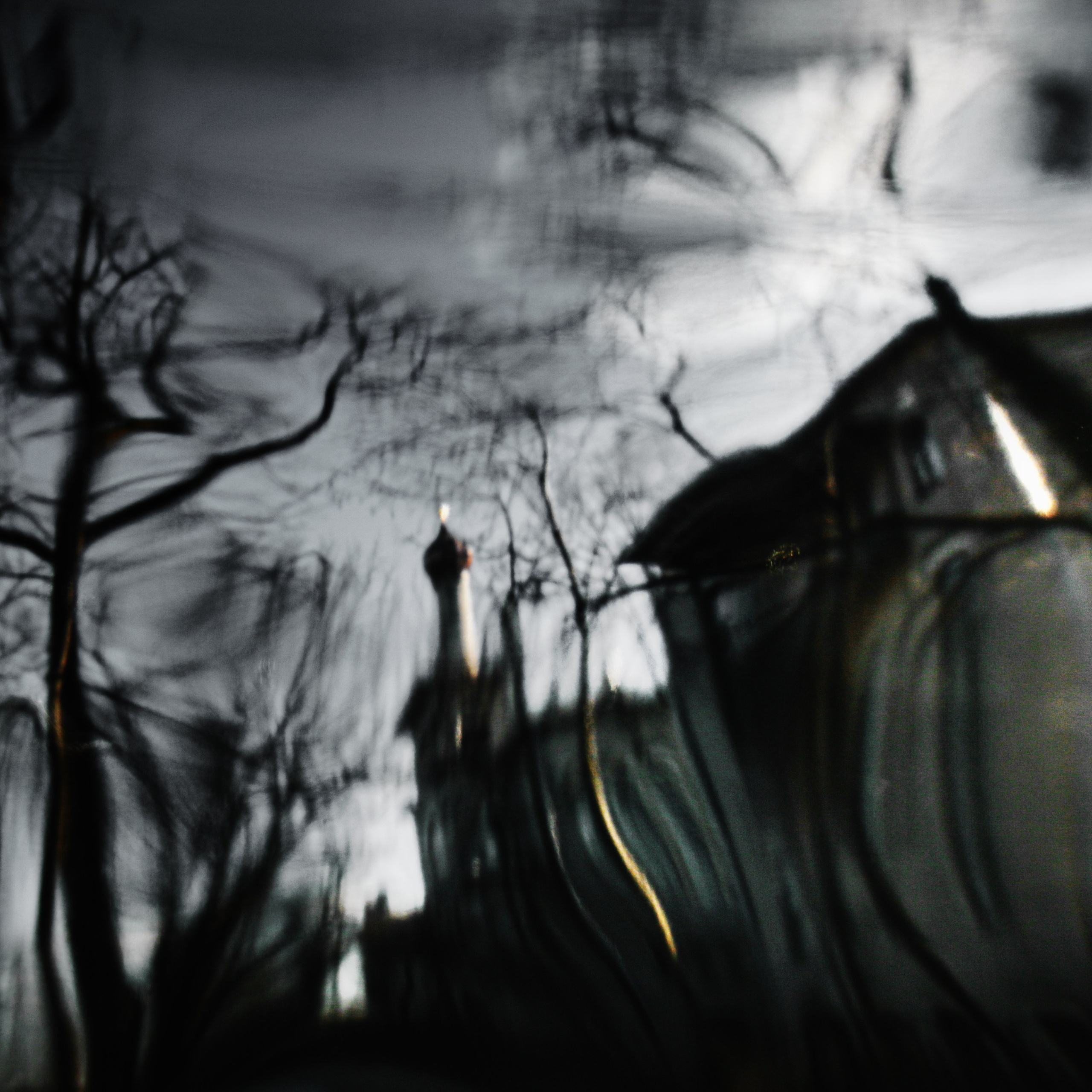 Midnight. 2016-2025. Евгений Курсков