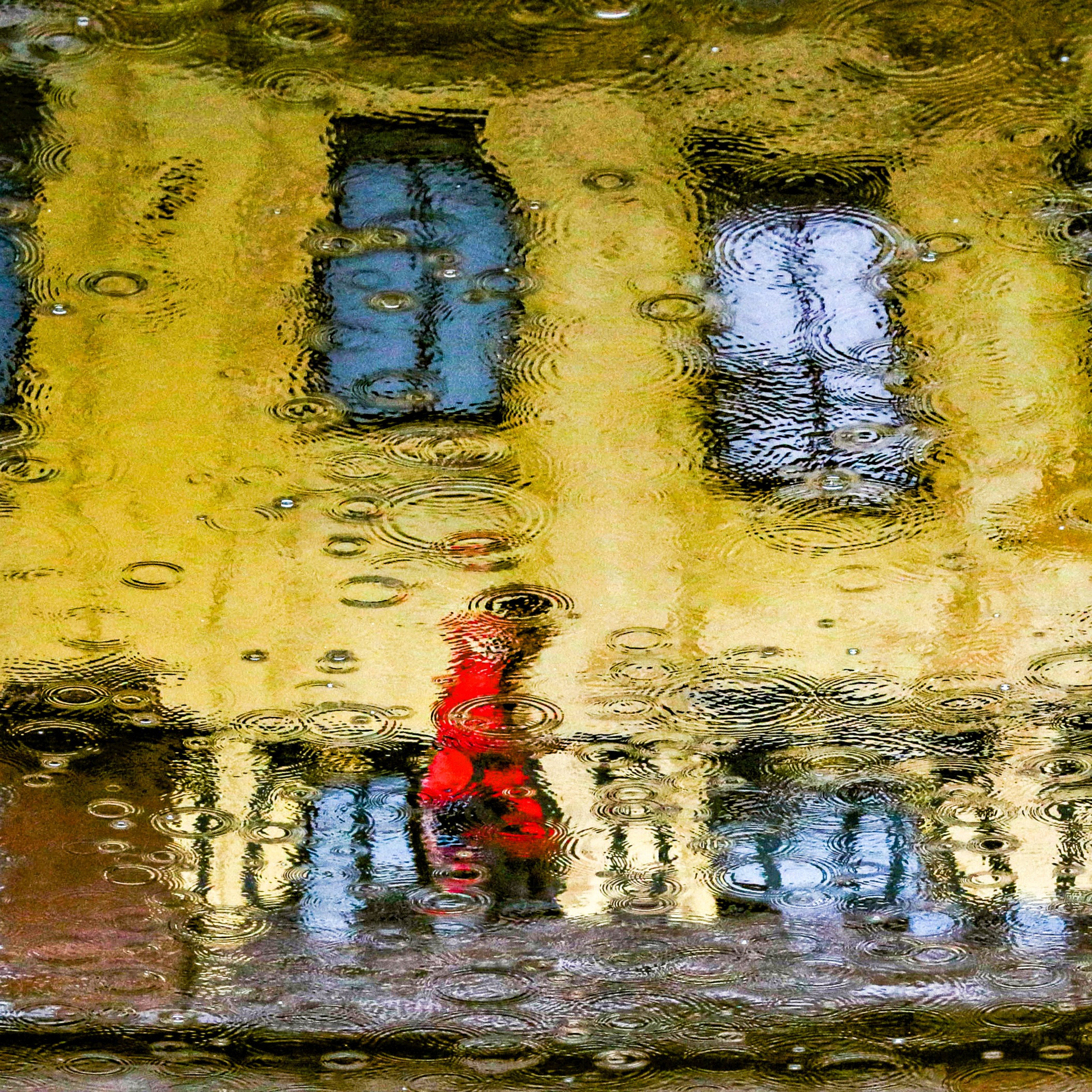 Highnoon. 2016-2025. Евгений Курсков