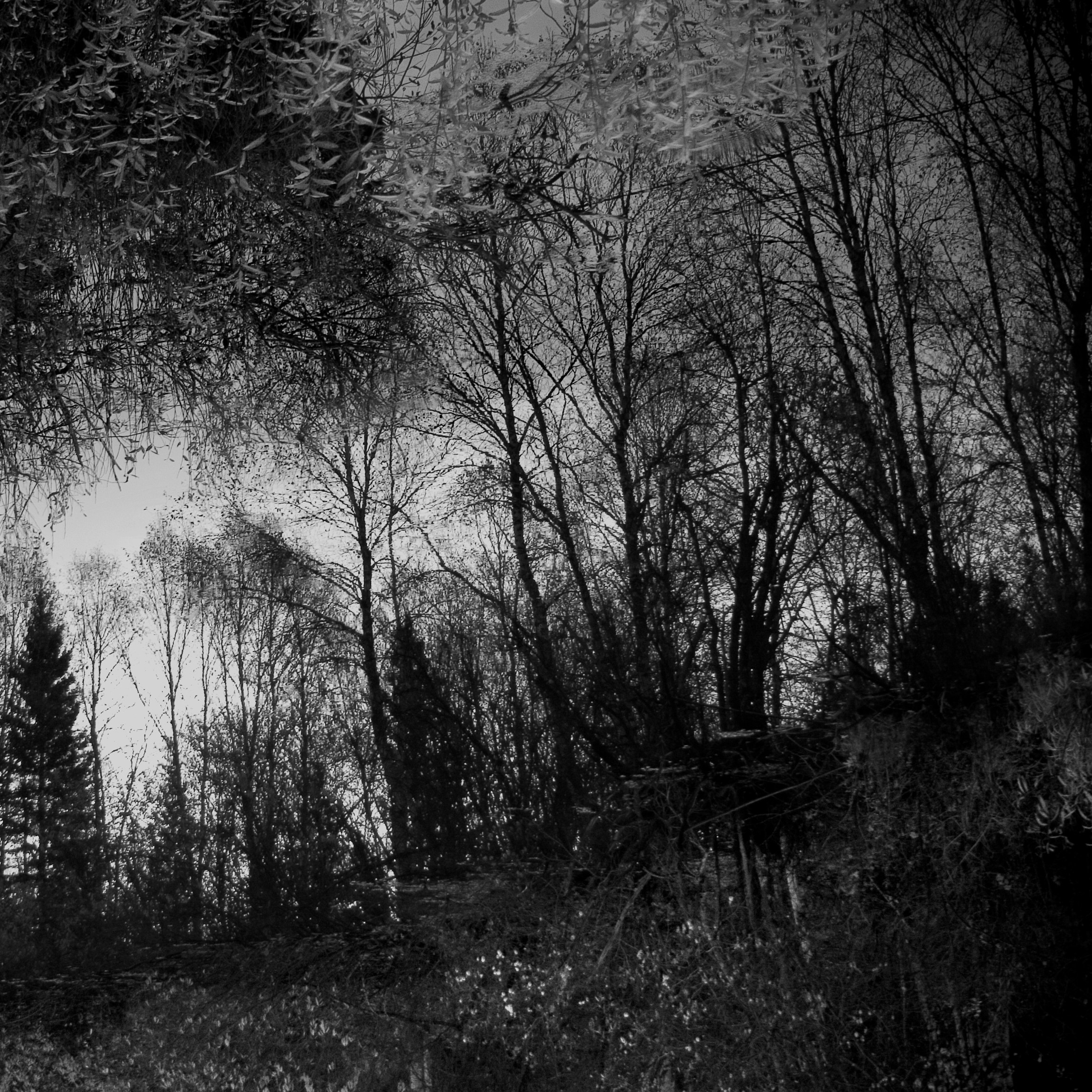 Темно-серые. 2006-20 10. Евгений Курсков