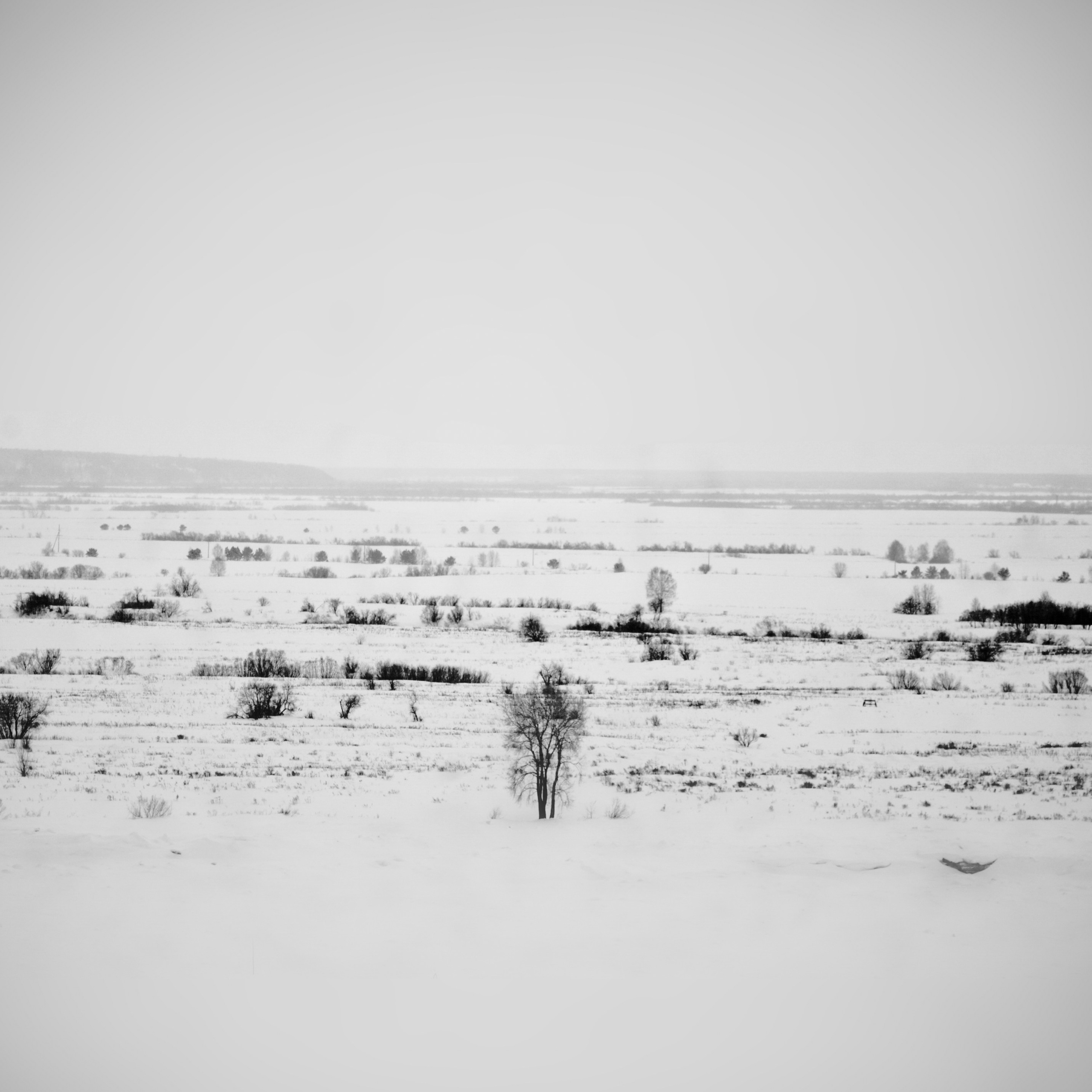 Белые. 2006-2010. Евгений Курсков