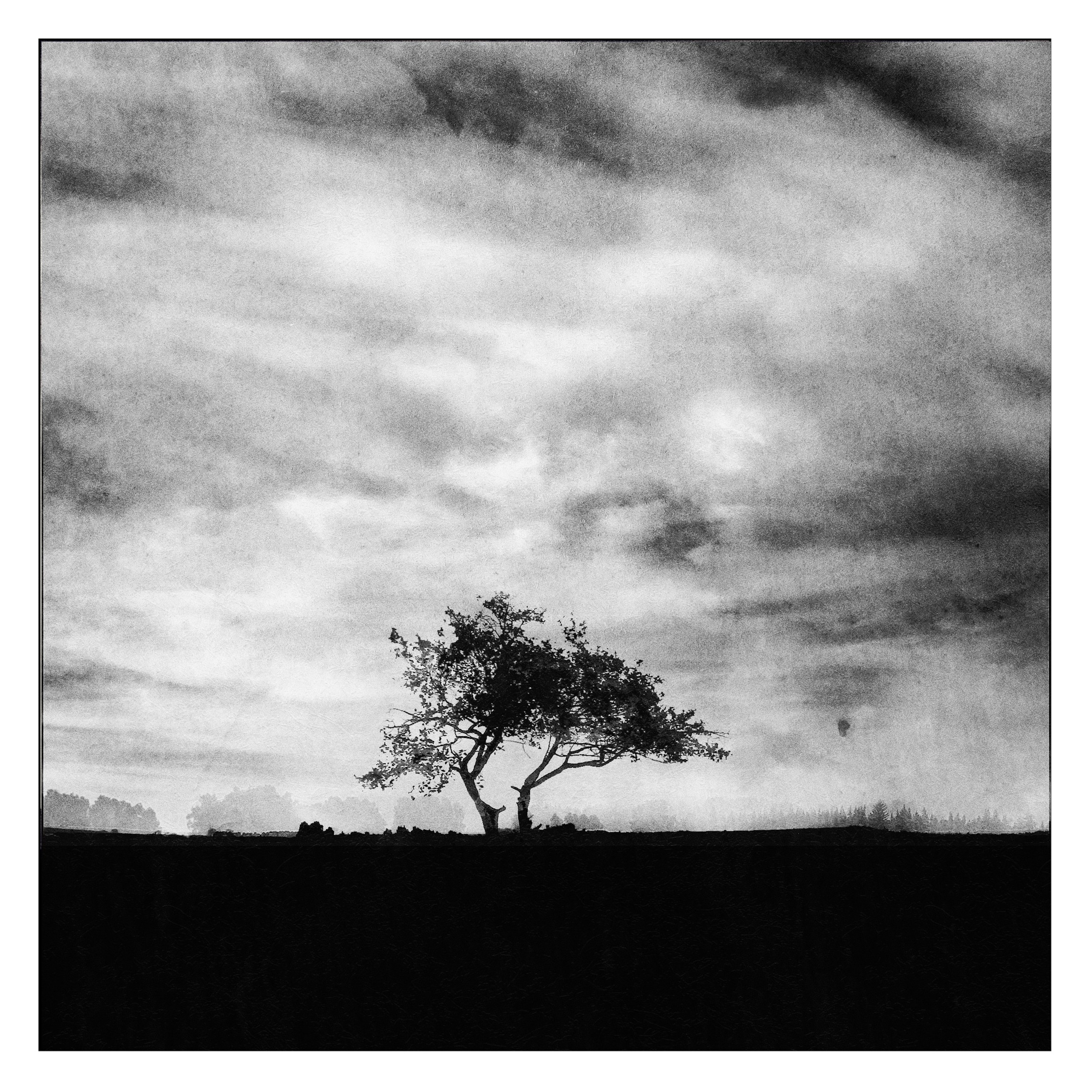 Ранние работы. 2003-2004. Евгений Курсков