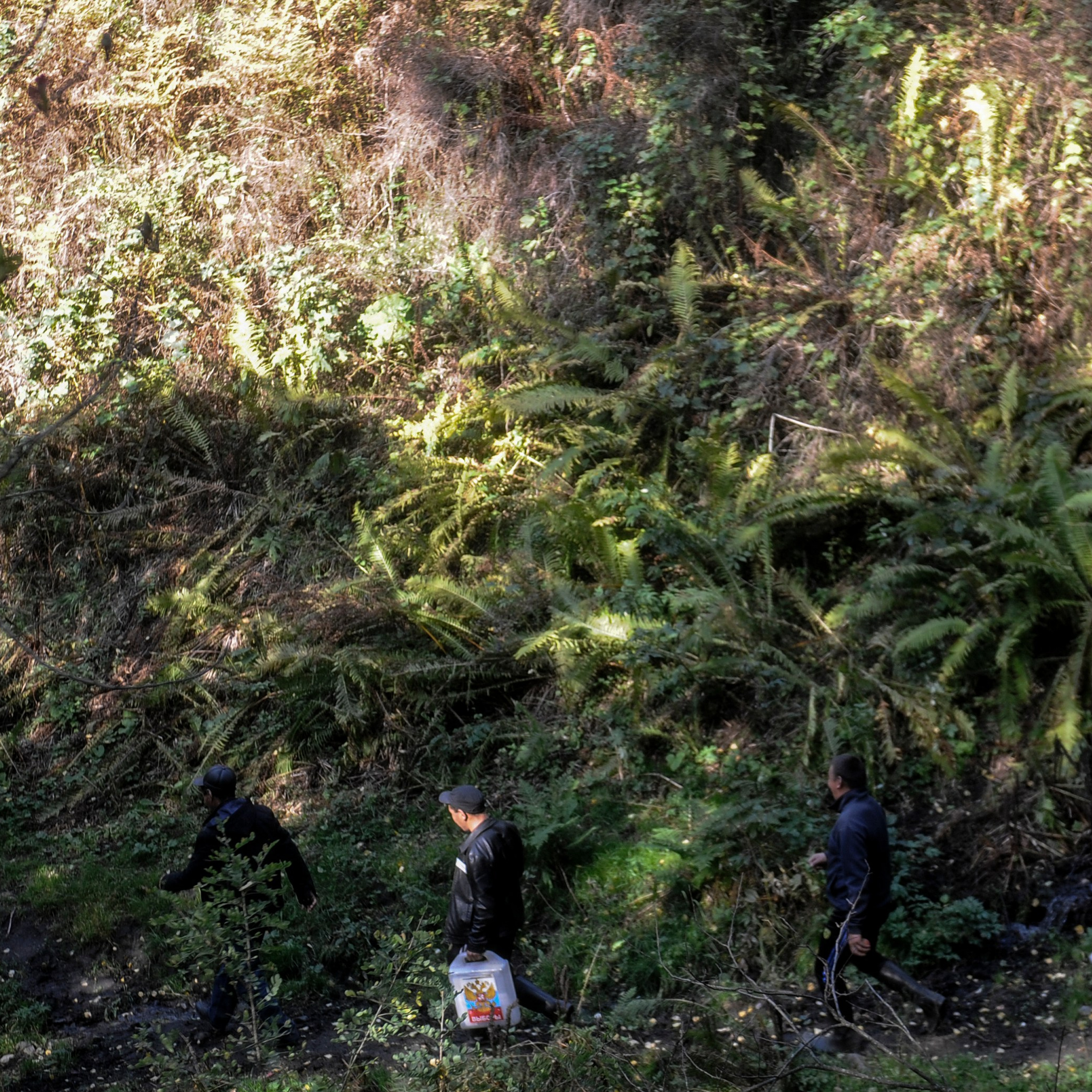 Выборы в труднодоступных регионах. Алтай. 2015. Евгений Курсков