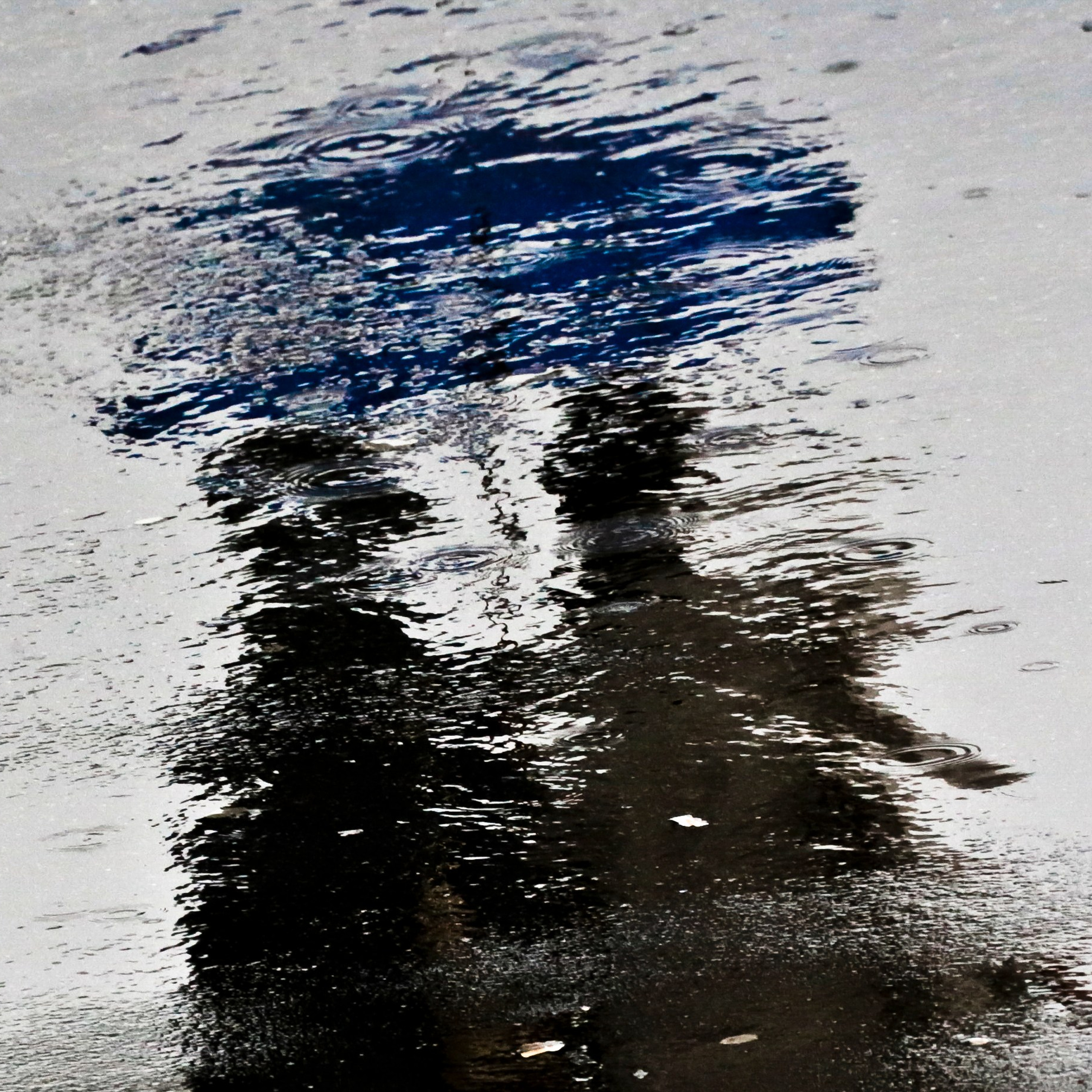 Colour. 2005-2025. Евгений Курсков