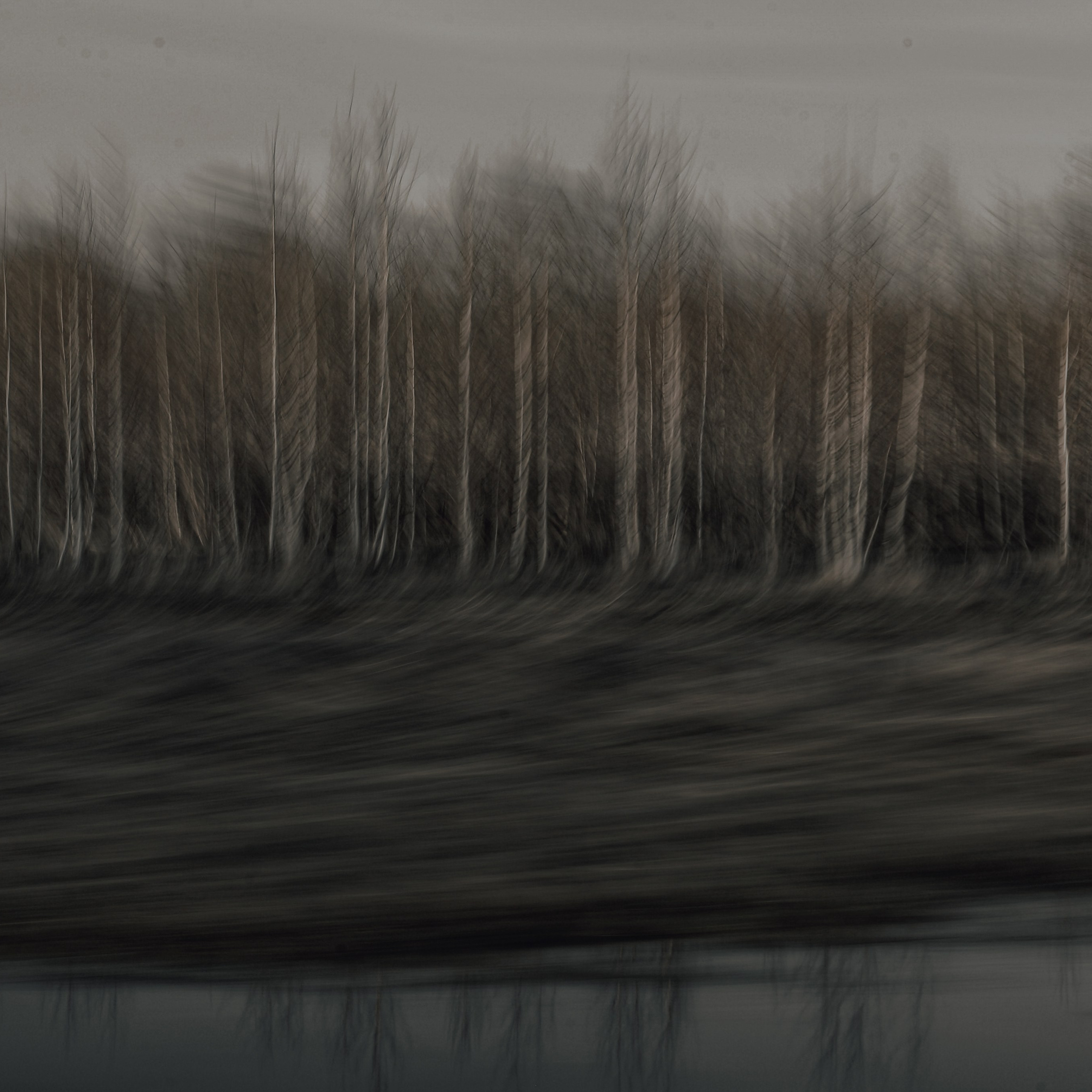 Not For Us. 2025. Евгений Курсков