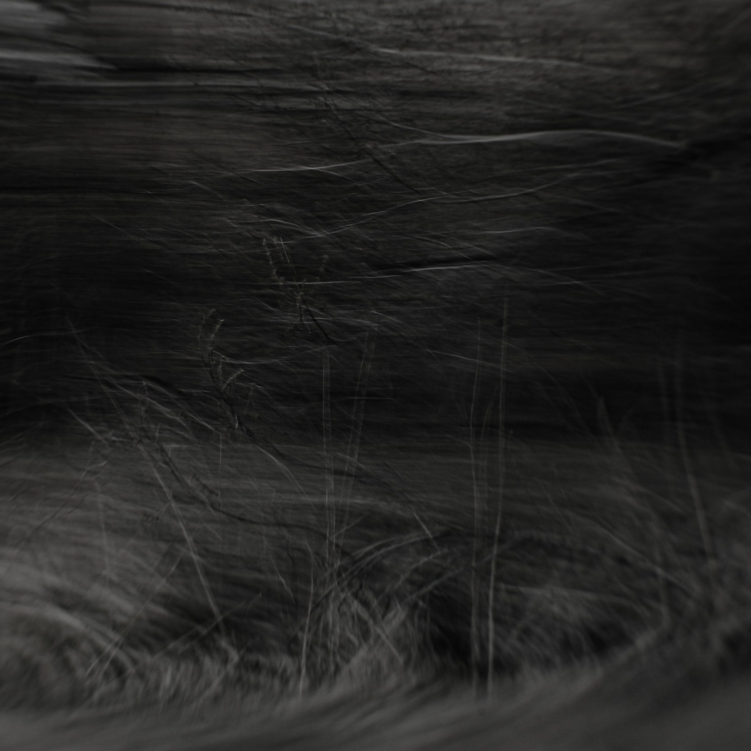 Not For Us. 2025. Евгений Курсков