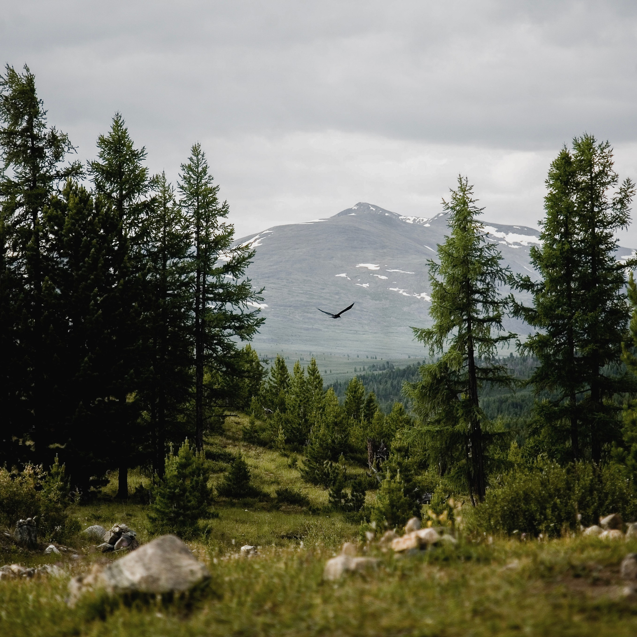 Colour. 2005-2025. Евгений Курсков