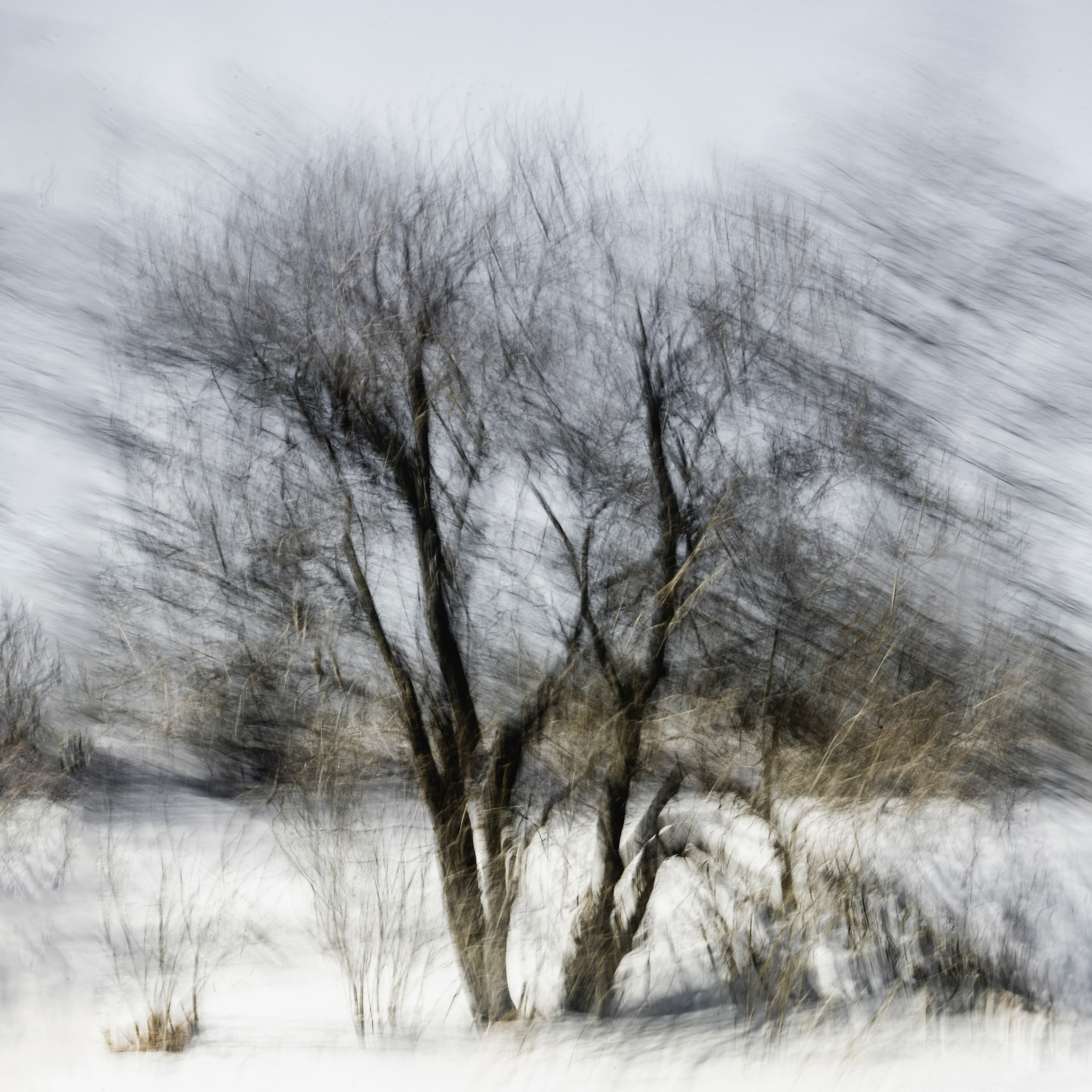 Colour. 2005-2025. Евгений Курсков