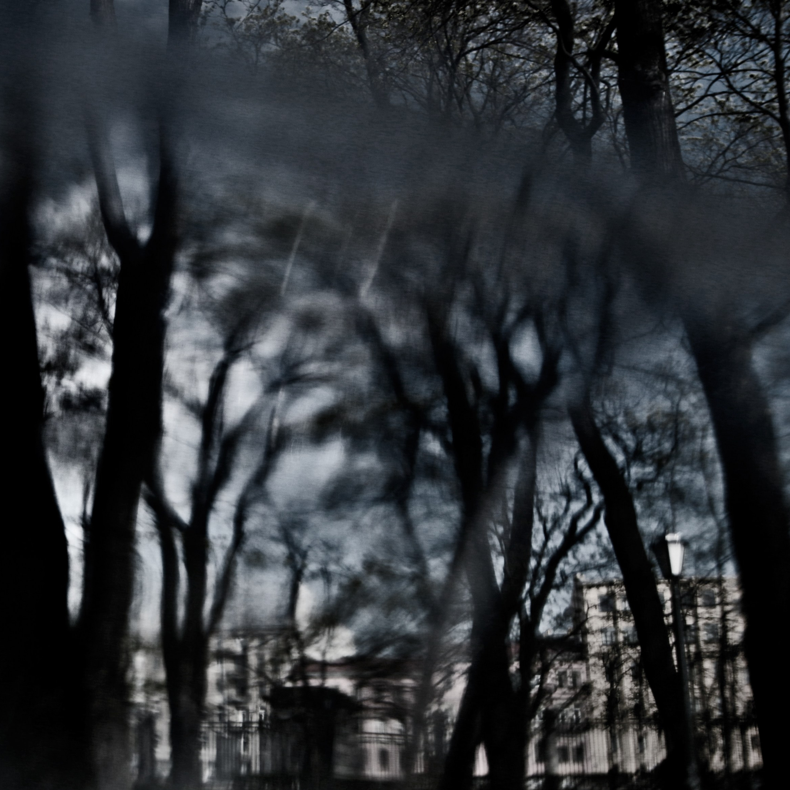 Midnight. 2016-2025. Евгений Курсков