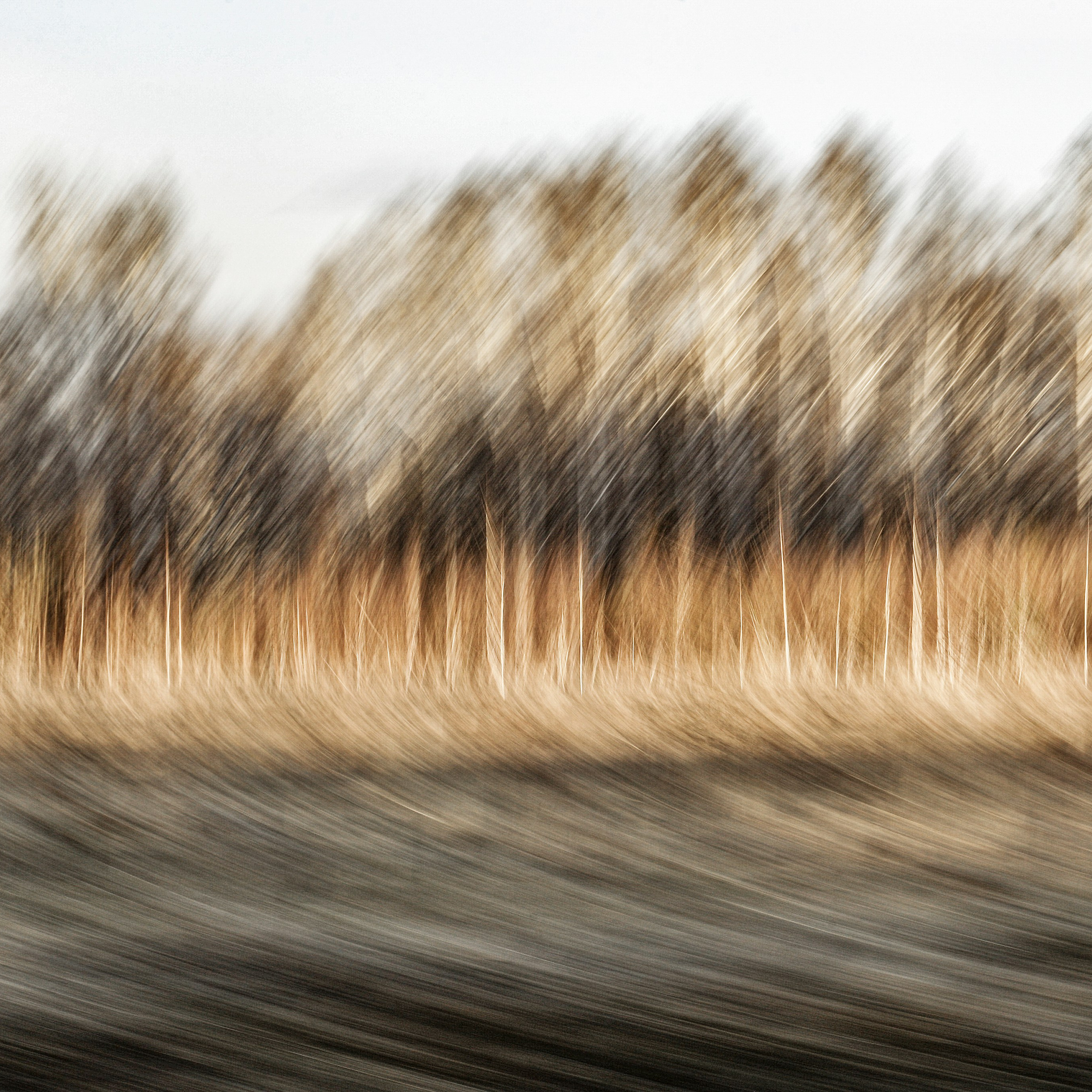 Colour. 2005-2025. Евгений Курсков