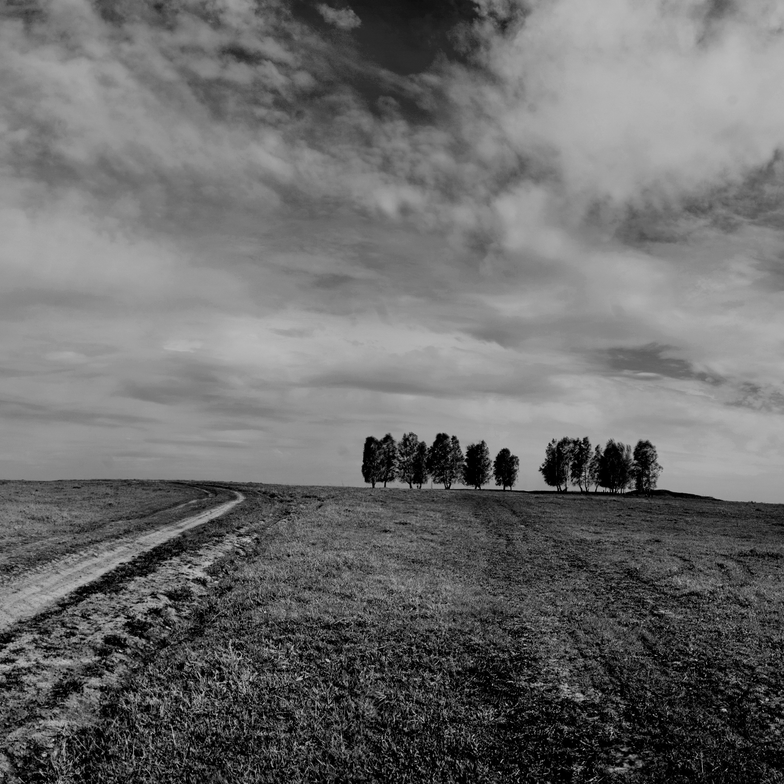 Темно-серые. 2006-20 10. Евгений Курсков