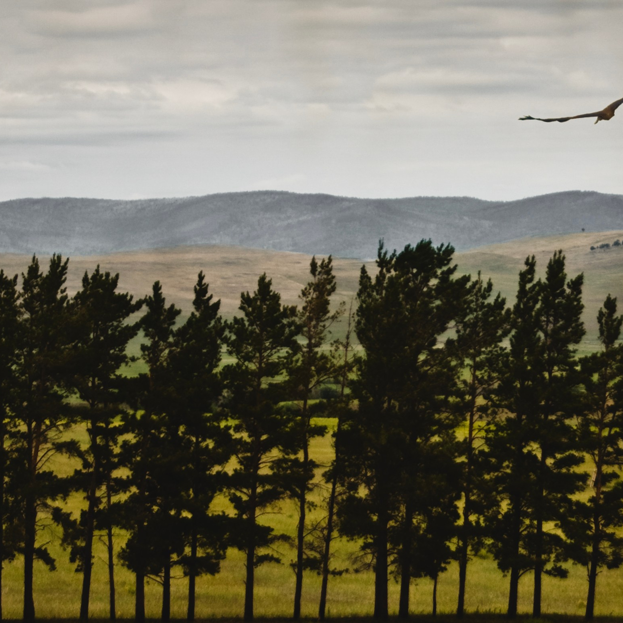 Colour. 2005-2025. Евгений Курсков