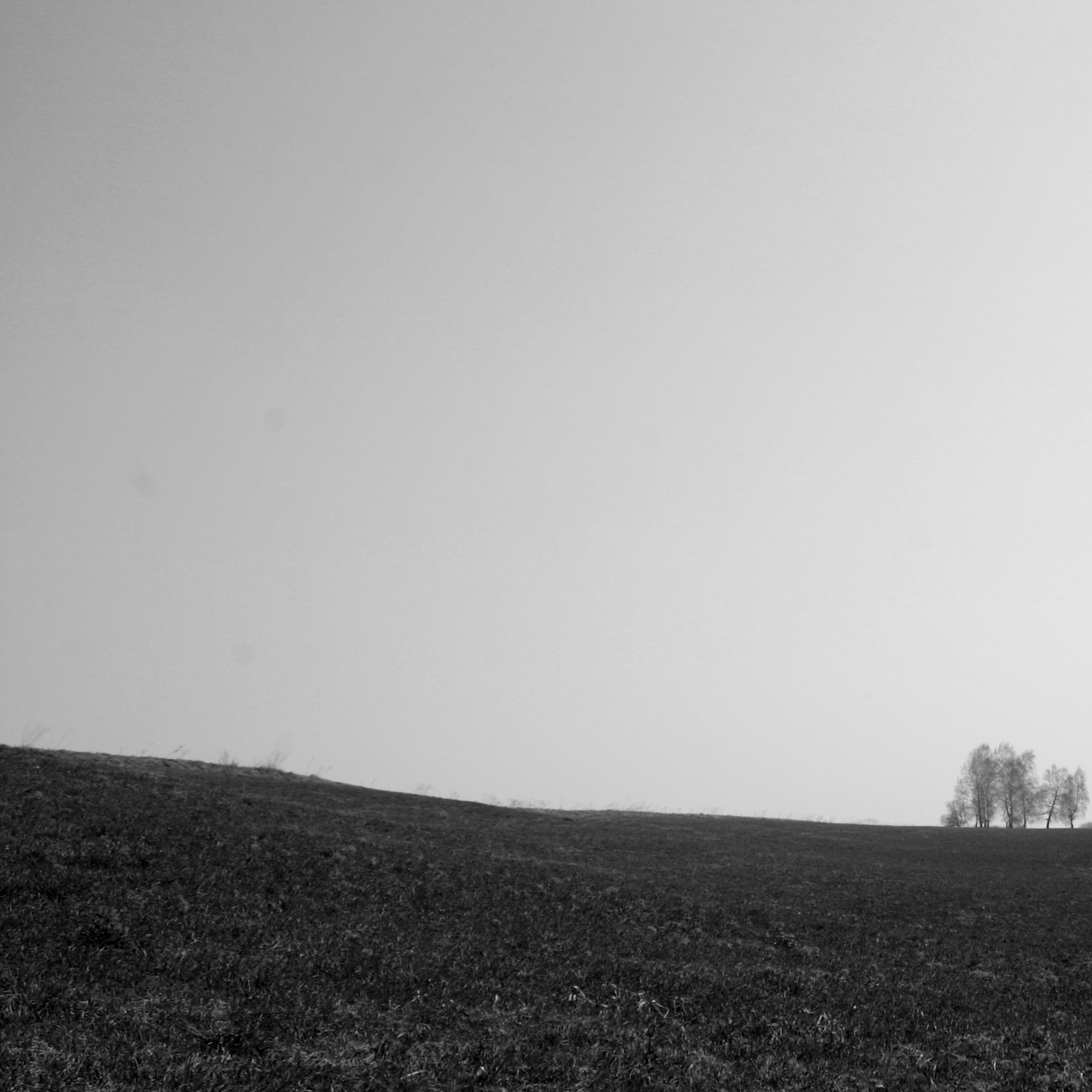 Темно-серые. 2006-20 10. Евгений Курсков