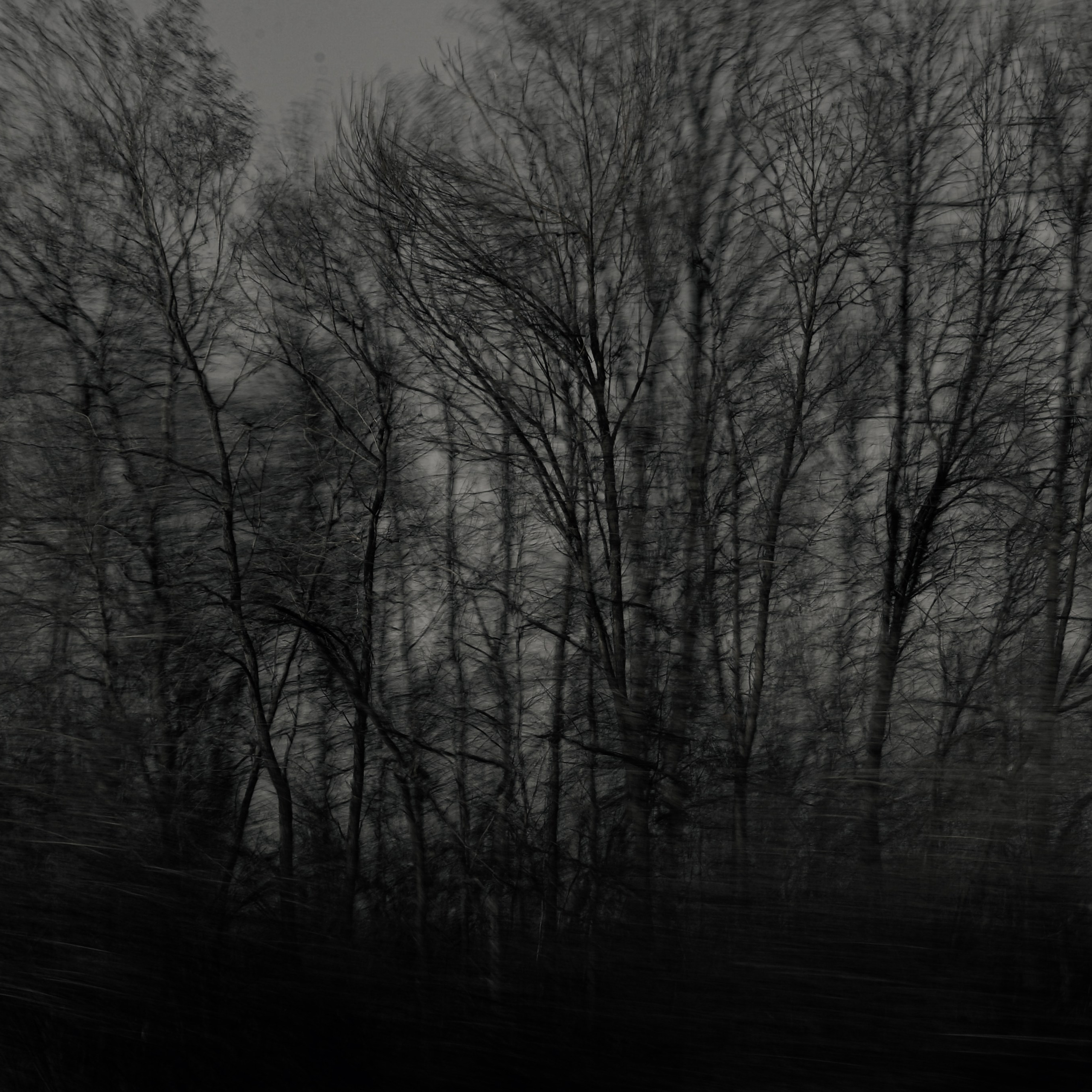 Not For Us. 2025. Евгений Курсков