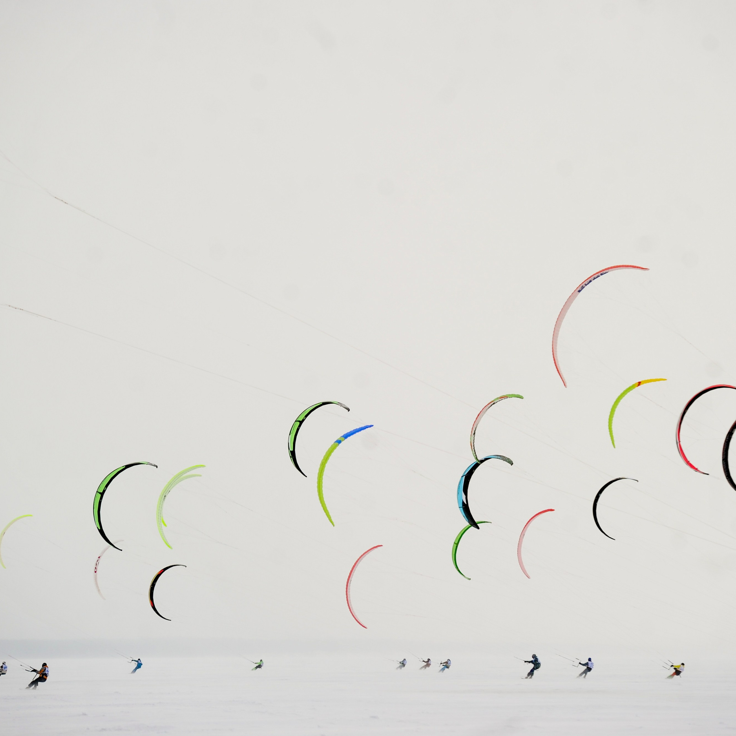 Россия. Новосибирск. 7 декабря 2014. Участники "Кубка Сибири по зимнему кайтингу - 2014" во время соревнований в дисциплине курс-рейс. 