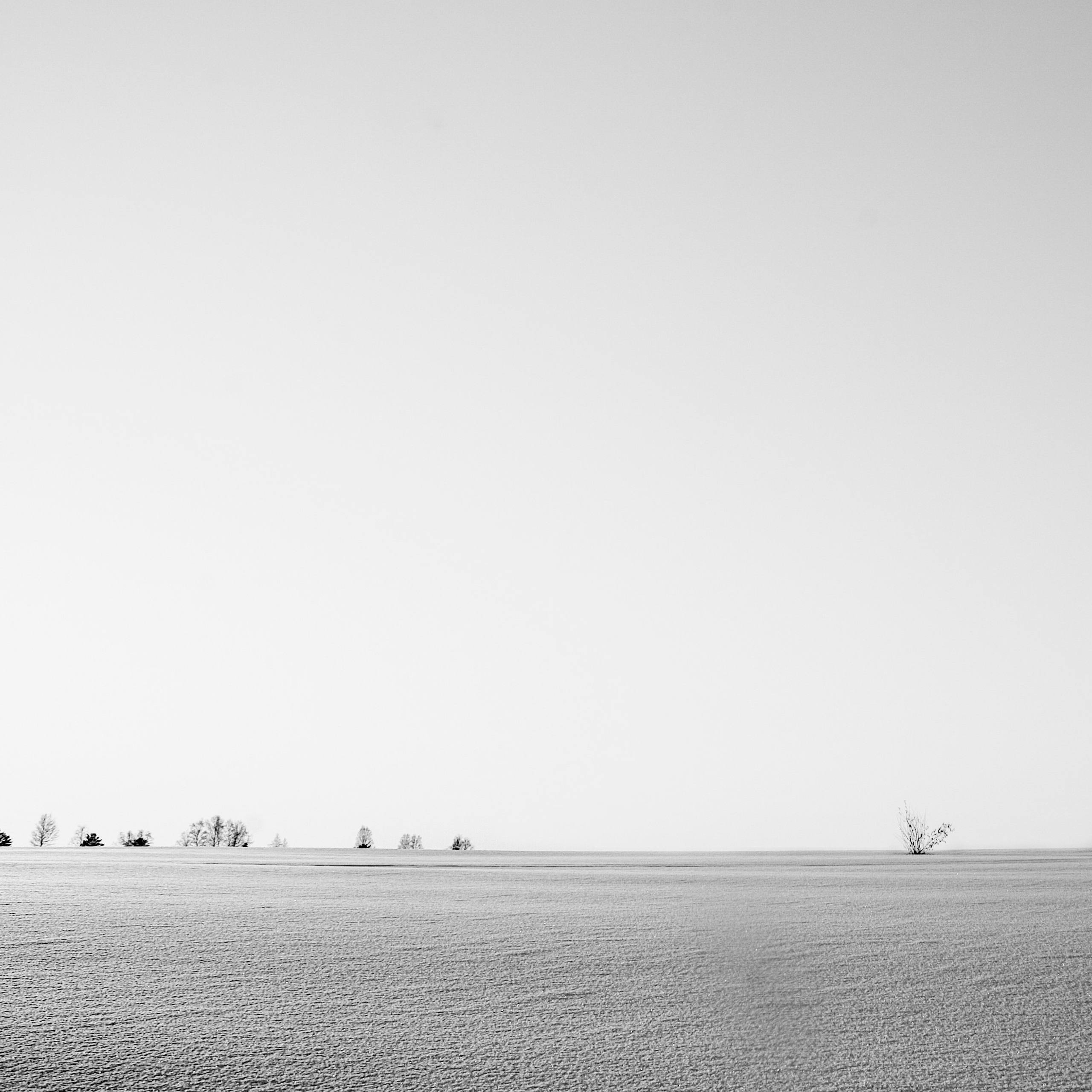 Белые. 2006-2010. Евгений Курсков