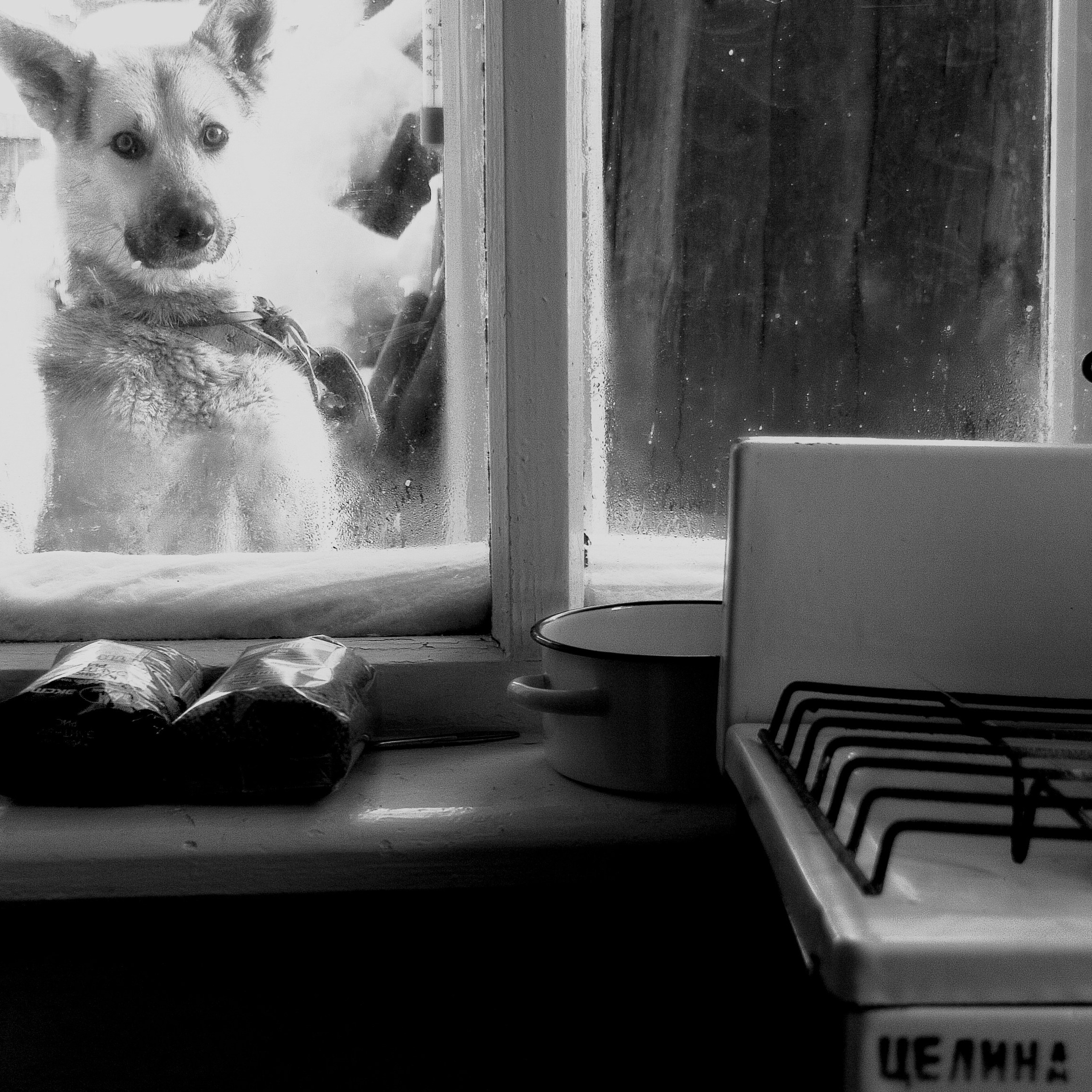 BW. 2003-2025. Евгений Курсков