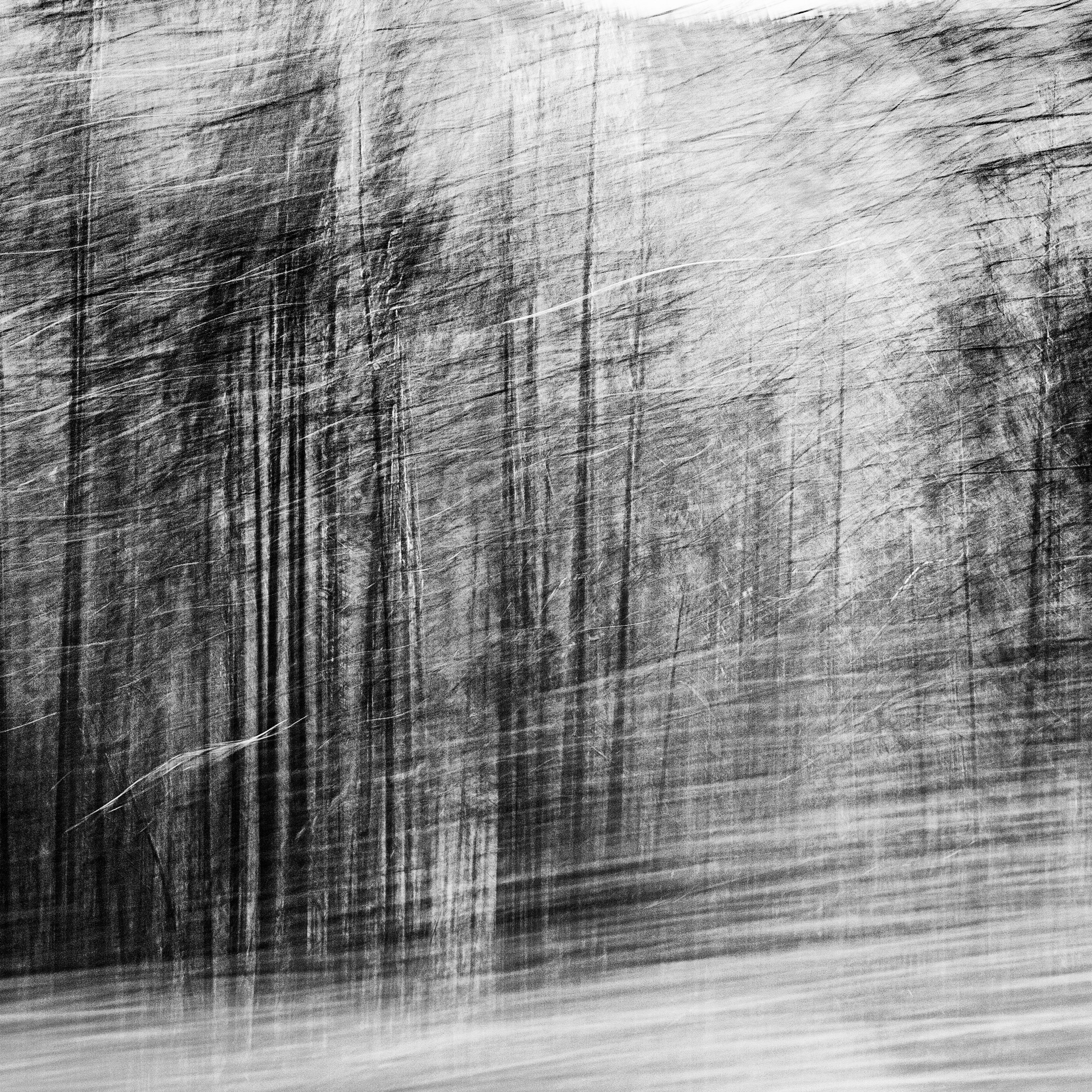 BW. 2003-2025. Евгений Курсков