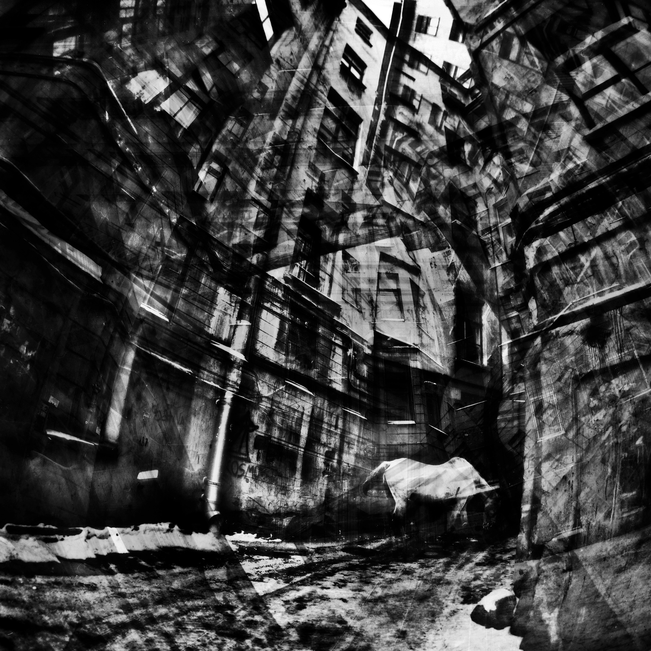 Part II. 2005-2025. Евгений Курсков