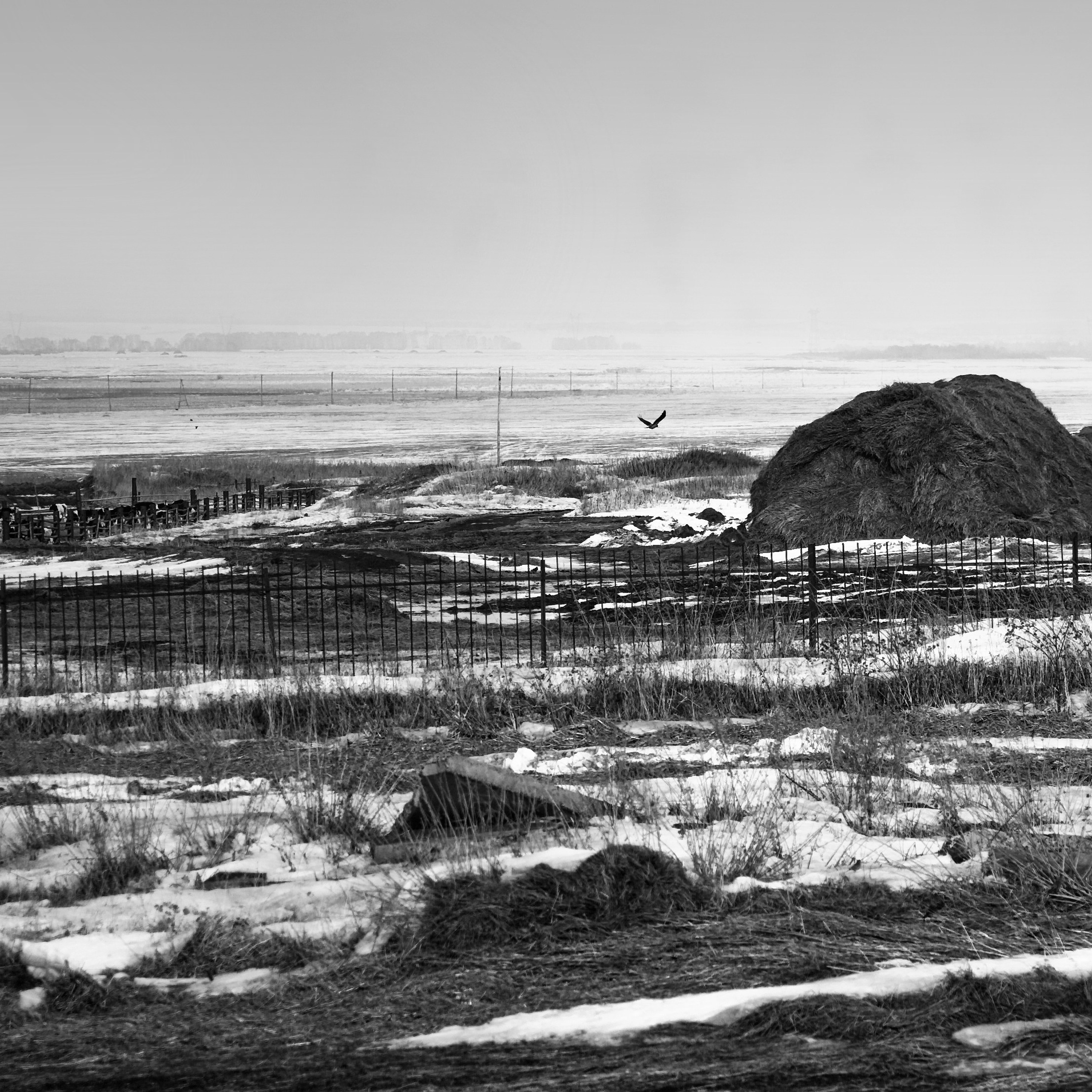 BW. 2003-2025. Евгений Курсков