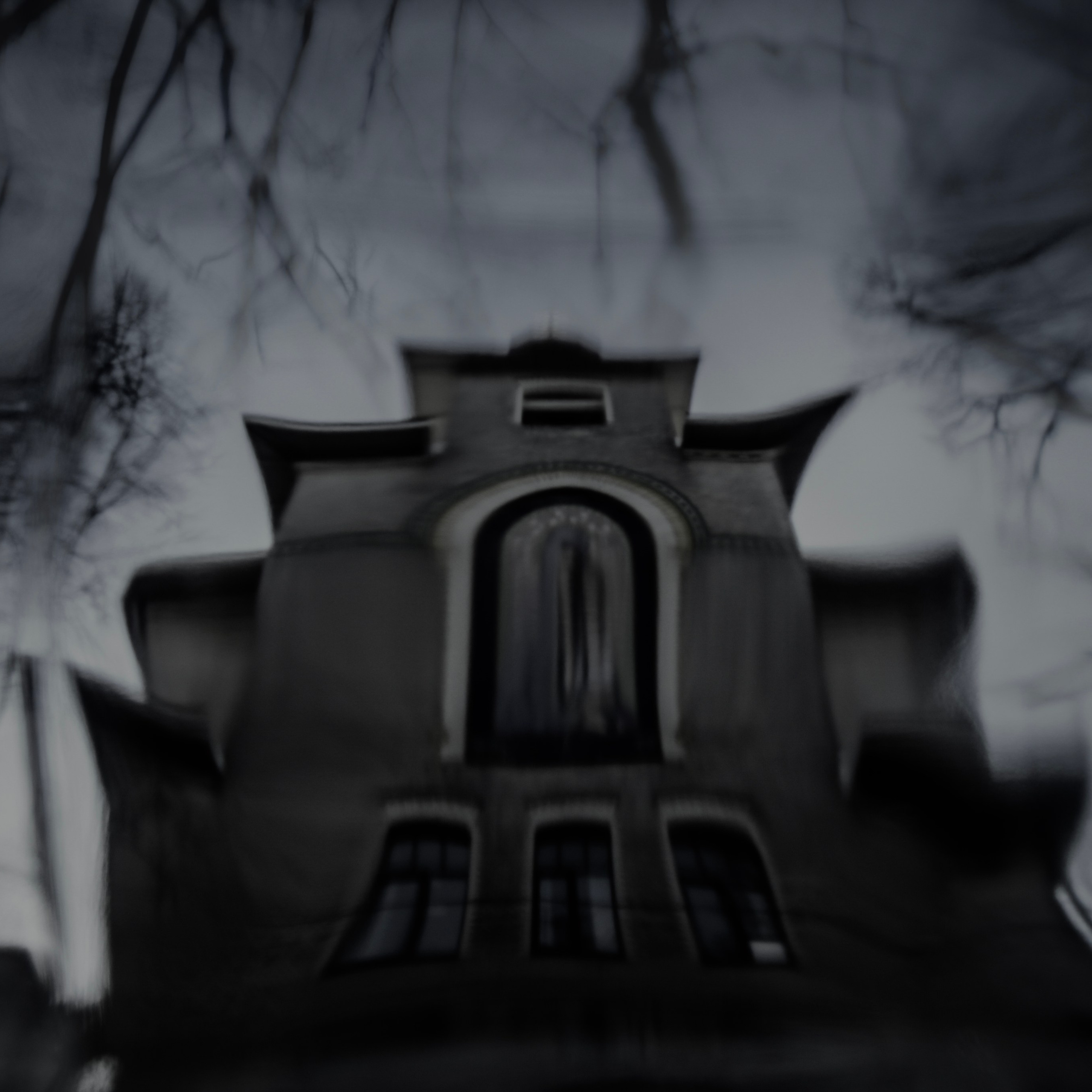 Midnight. 2016-2025. Евгений Курсков