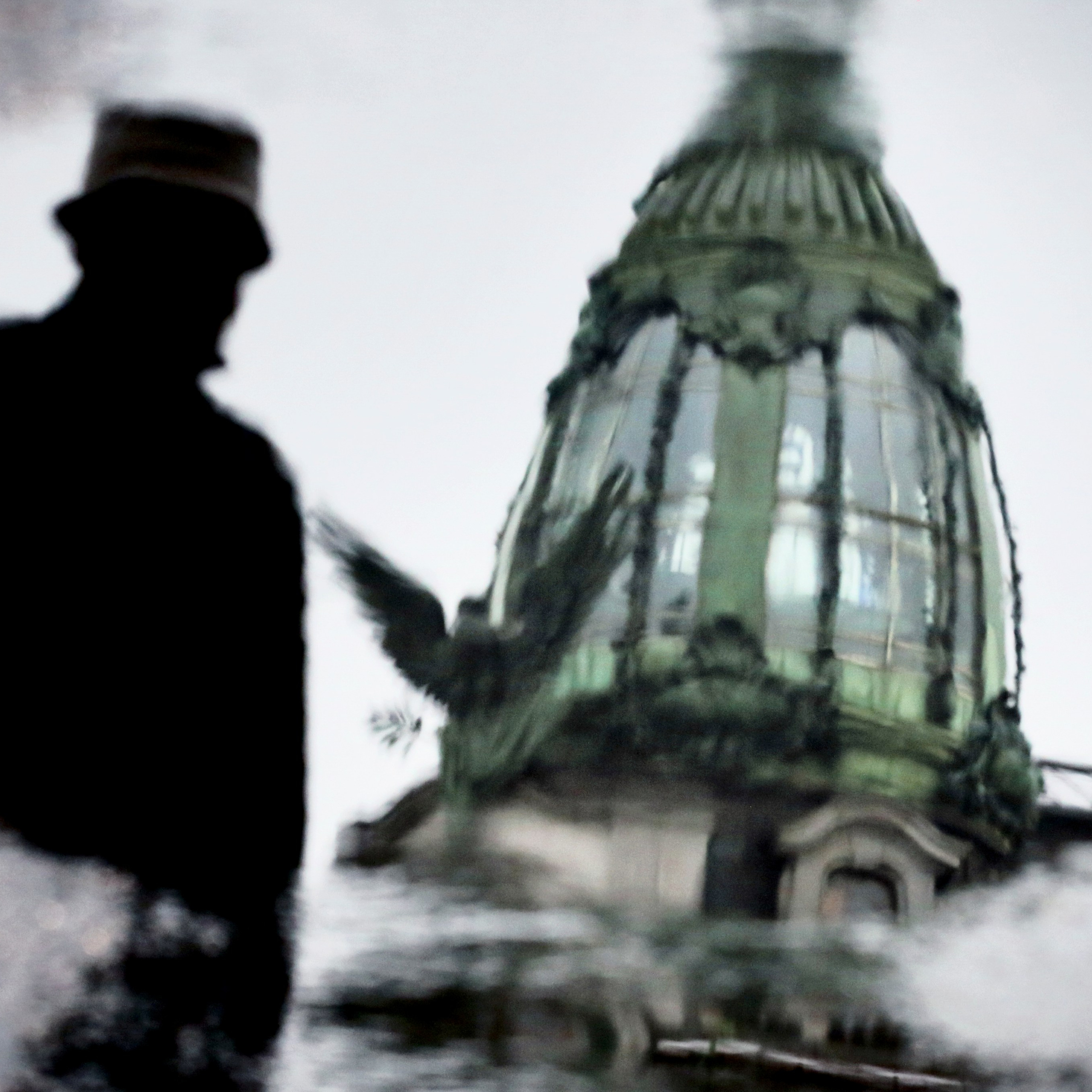 Colour. 2005-2025. Евгений Курсков