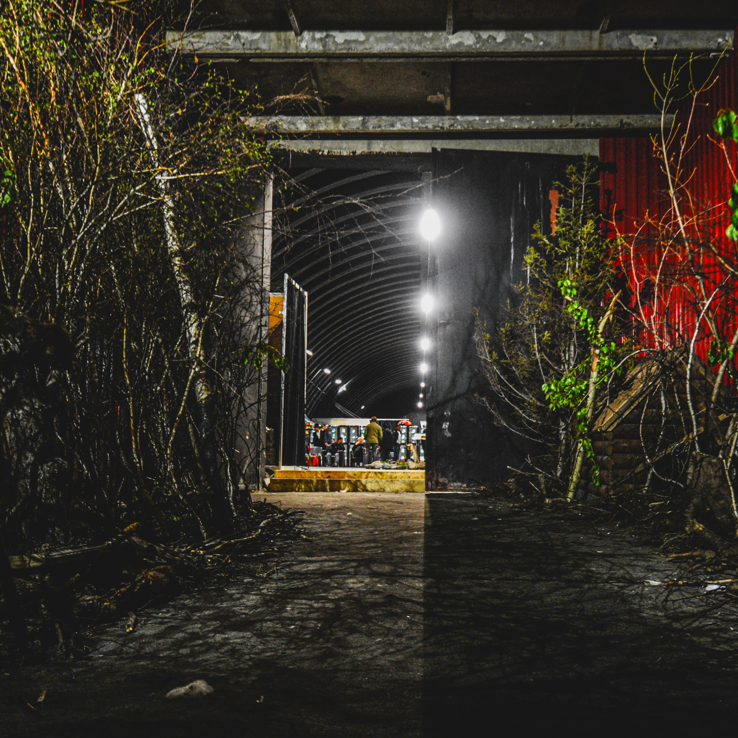 Крематорий. 2015. Евгений Курсков