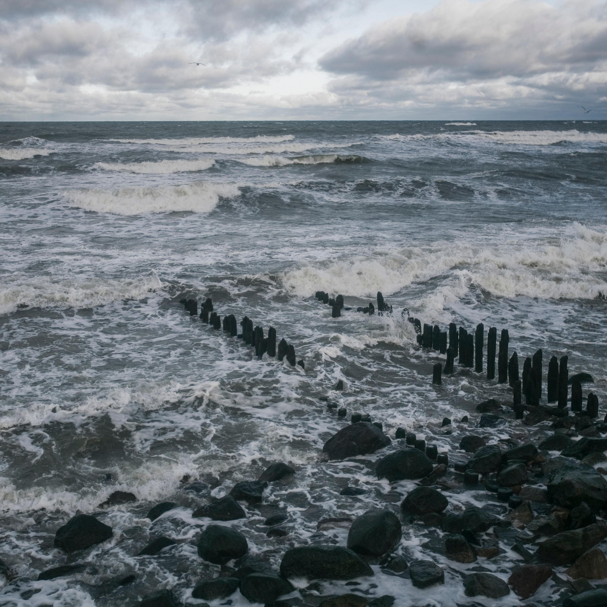 Colour. 2005-2025. Евгений Курсков