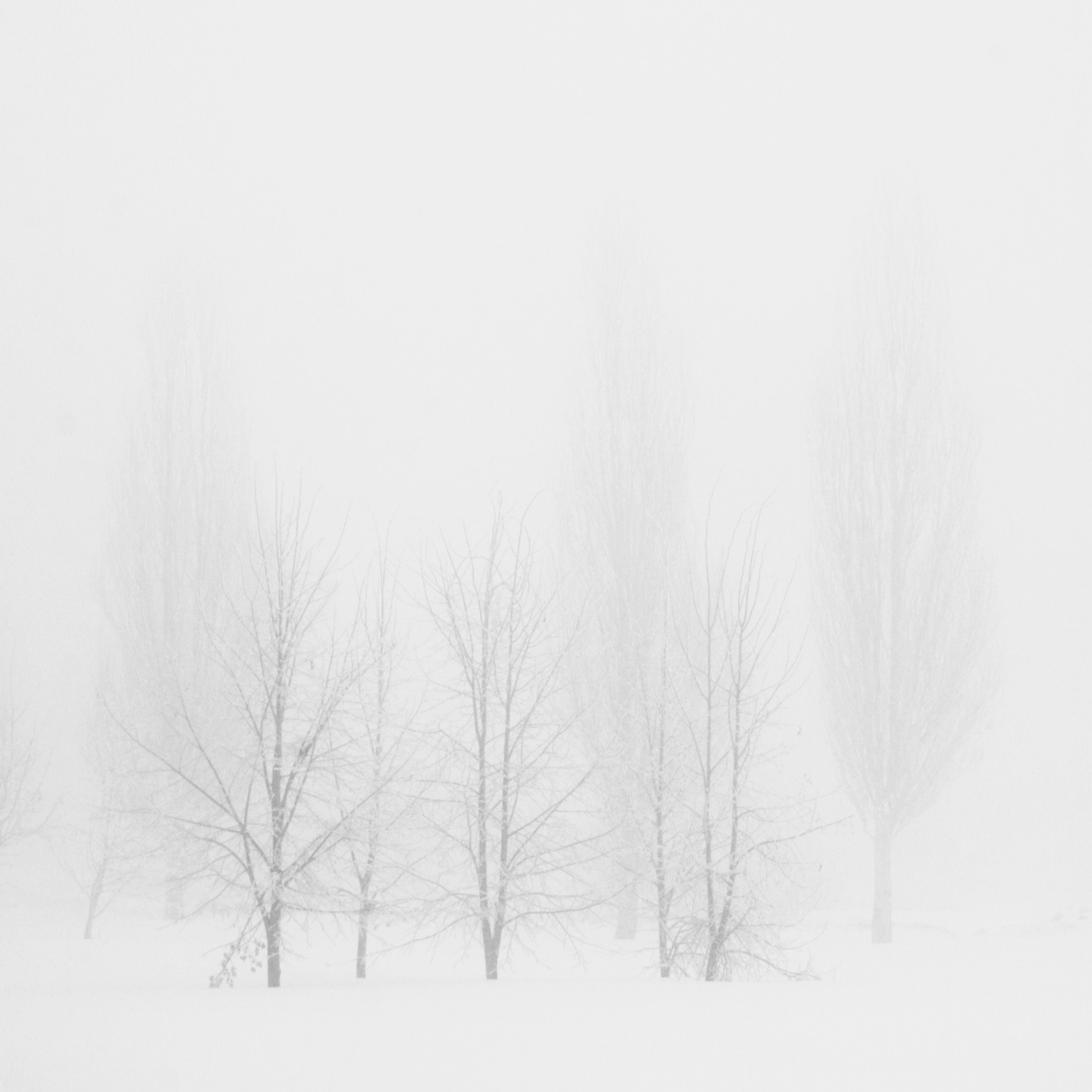 Белые. 2006-2010. Евгений Курсков