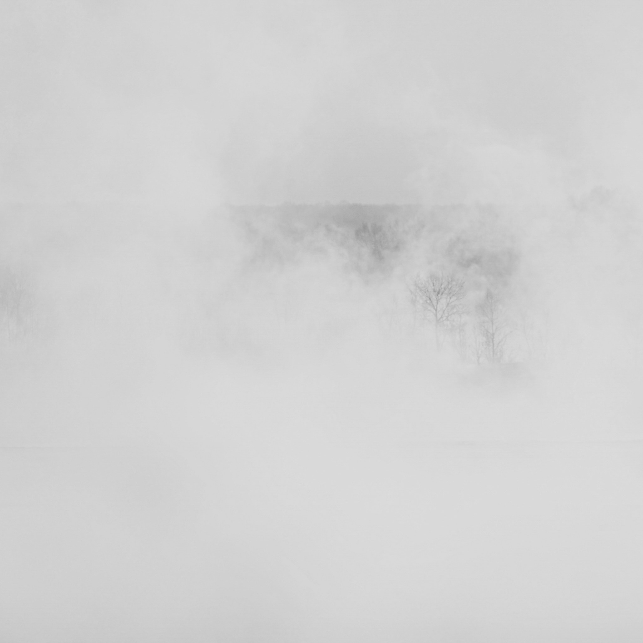 BW. 2003-2025. Евгений Курсков