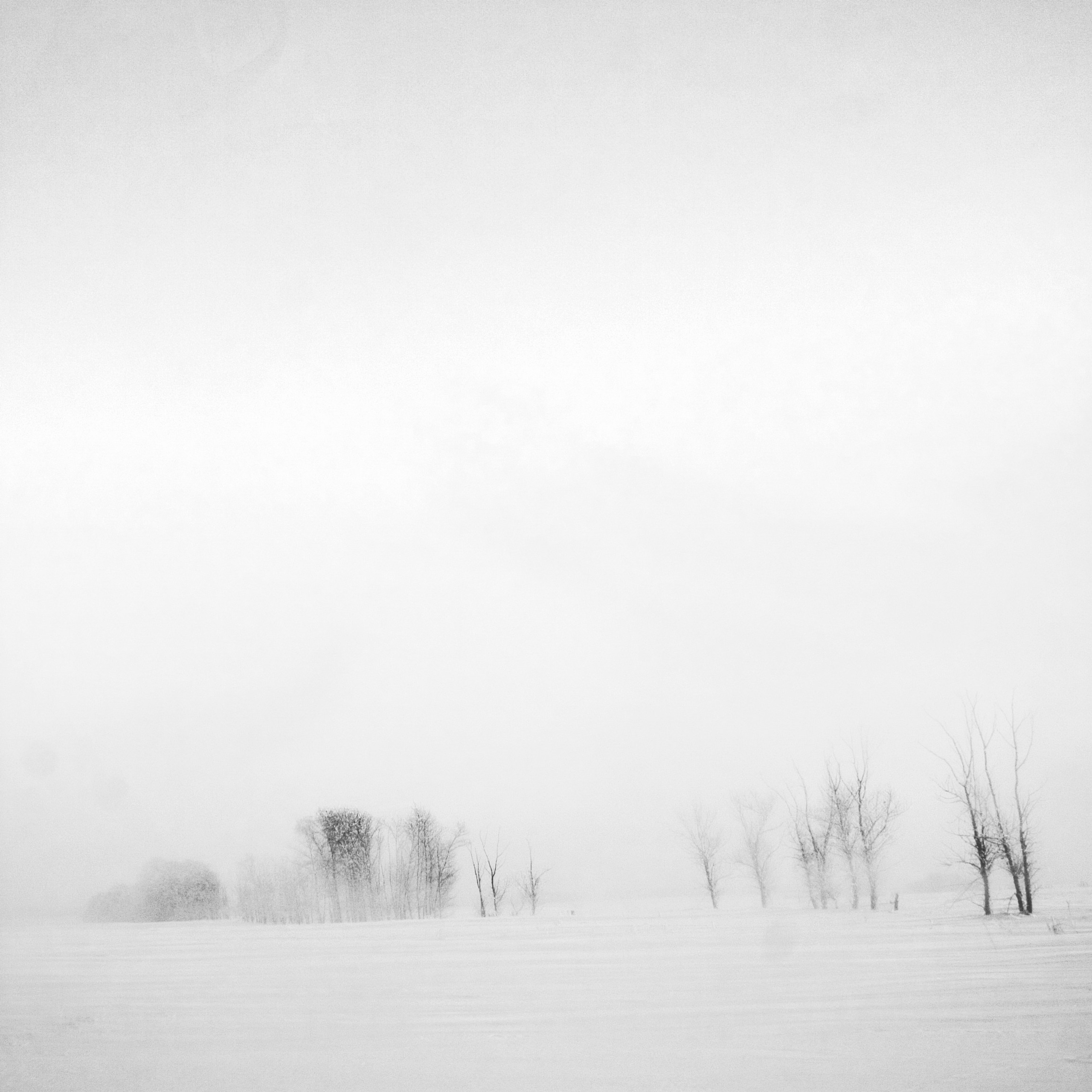 Белые. 2006-2010. Евгений Курсков