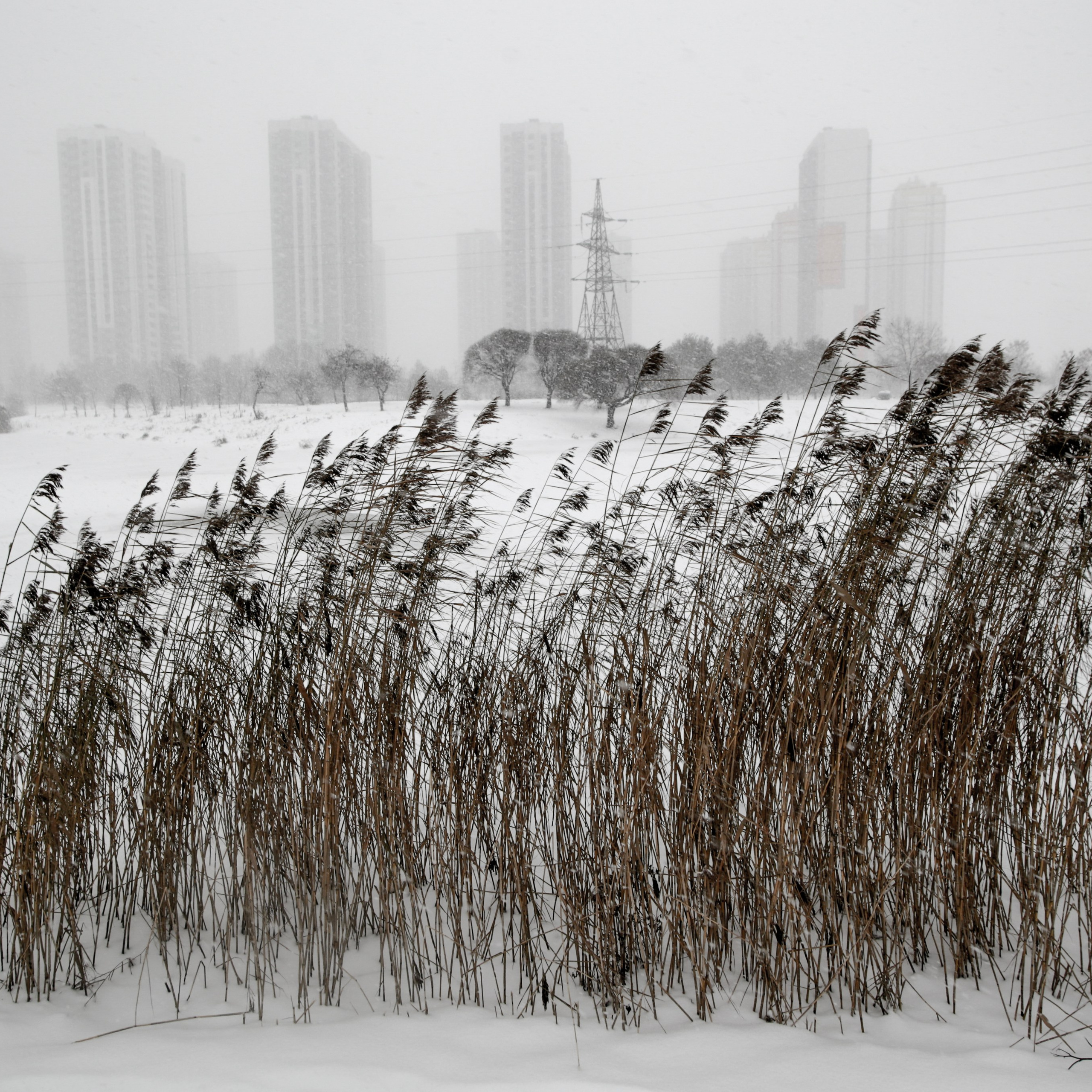 Colour. 2005-2025. Евгений Курсков