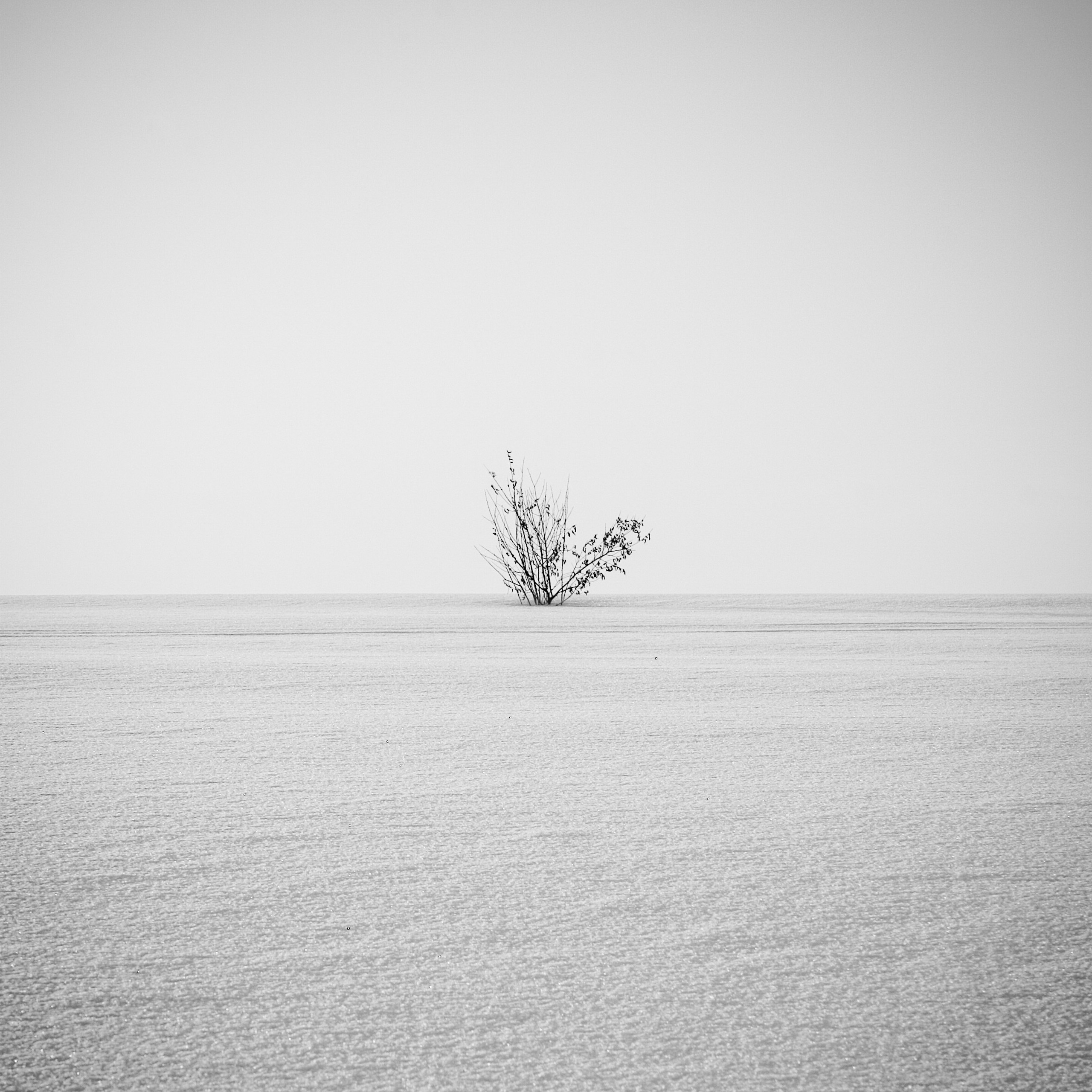 Белые. 2006-2010. Евгений Курсков