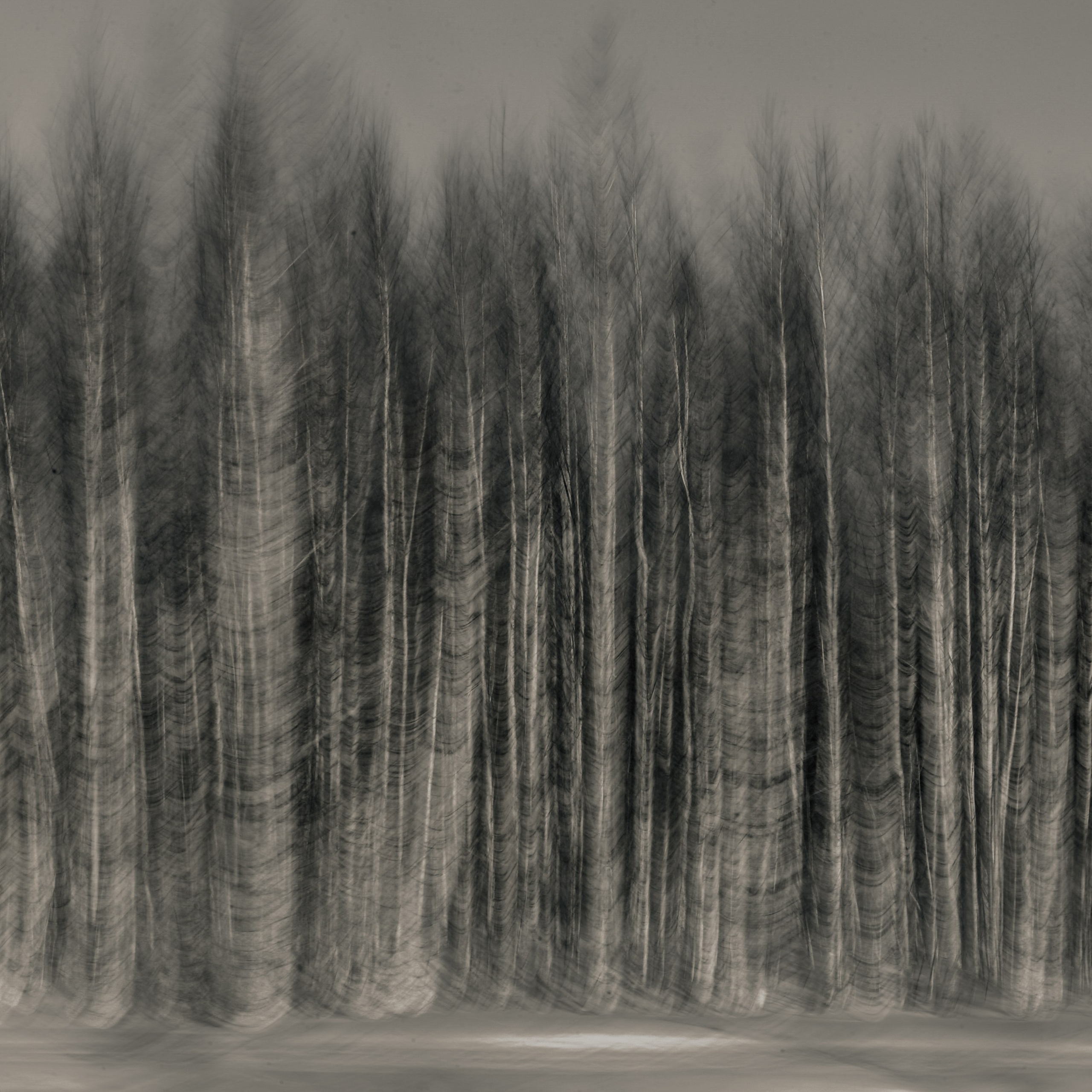 Not For Us. 2025. Евгений Курсков