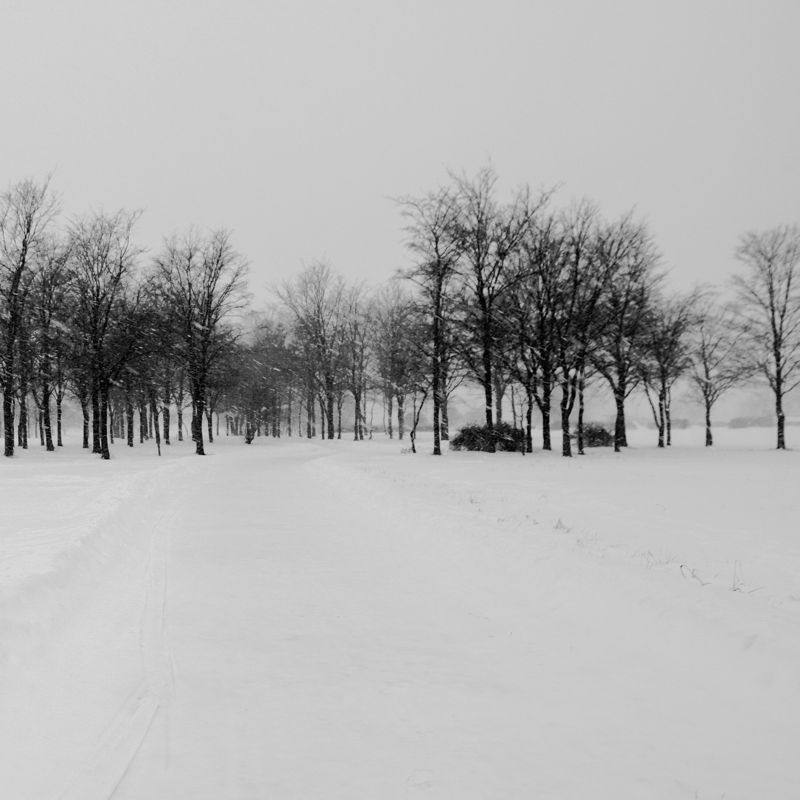 BW. 2003-2025. Евгений Курсков