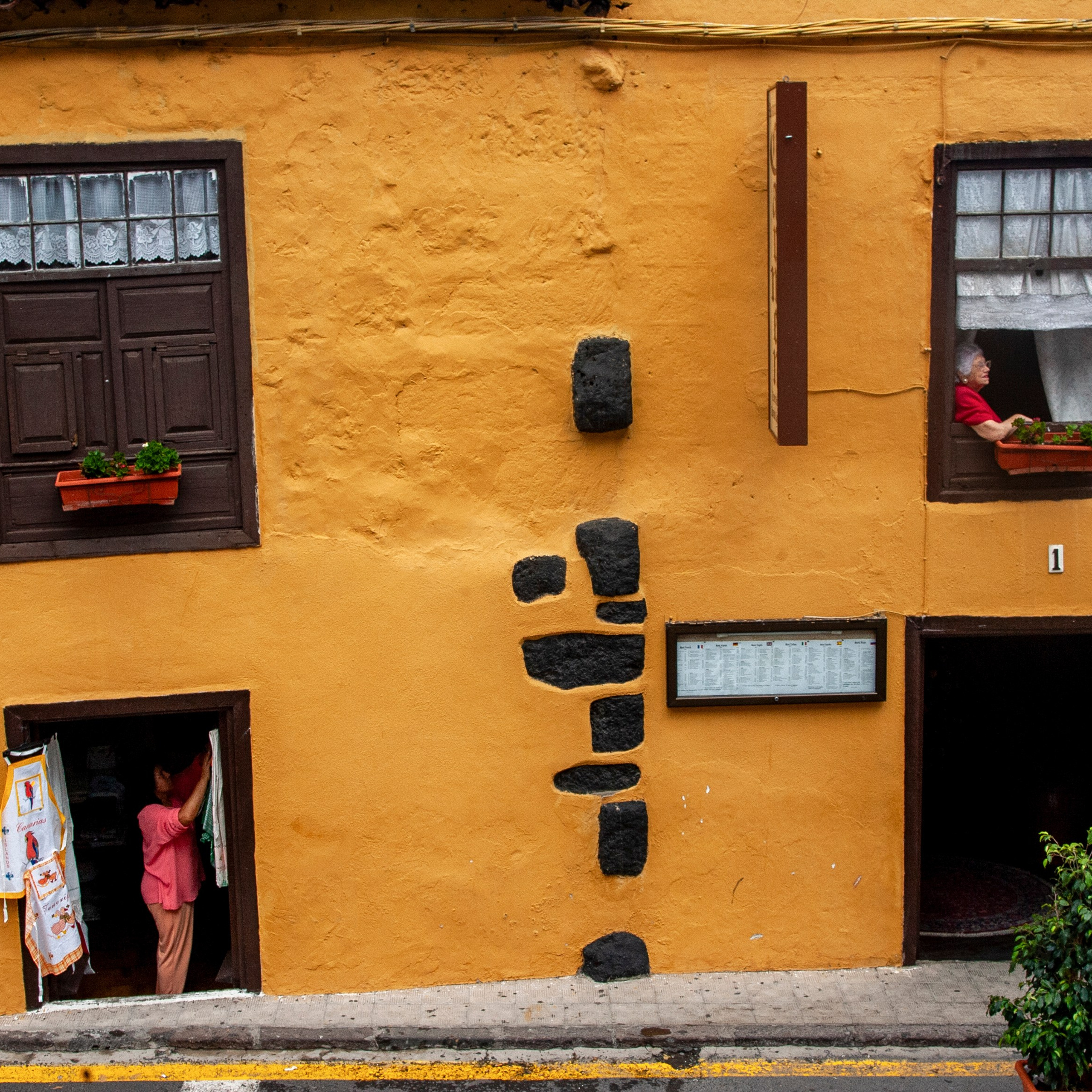 Канары. 2010. Евгений Курсков