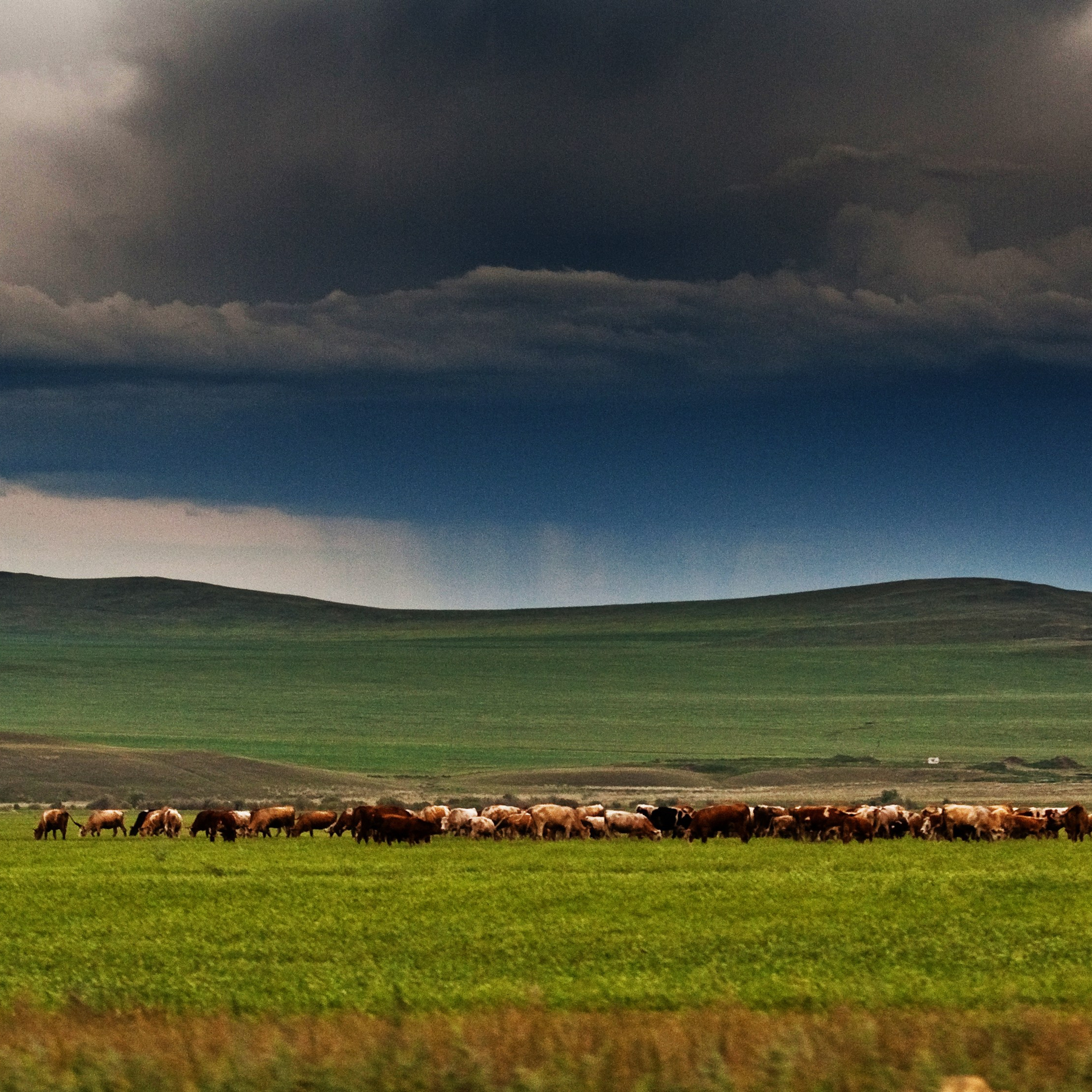 Colour. 2005-2025. Евгений Курсков