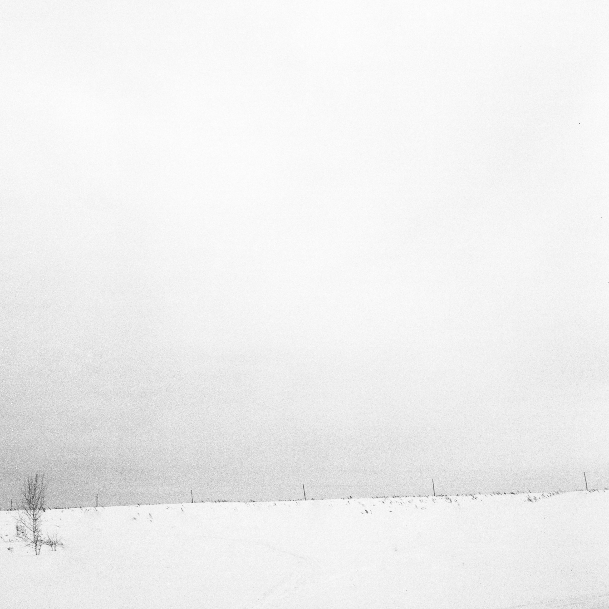 Белые. 2006-2010. Евгений Курсков