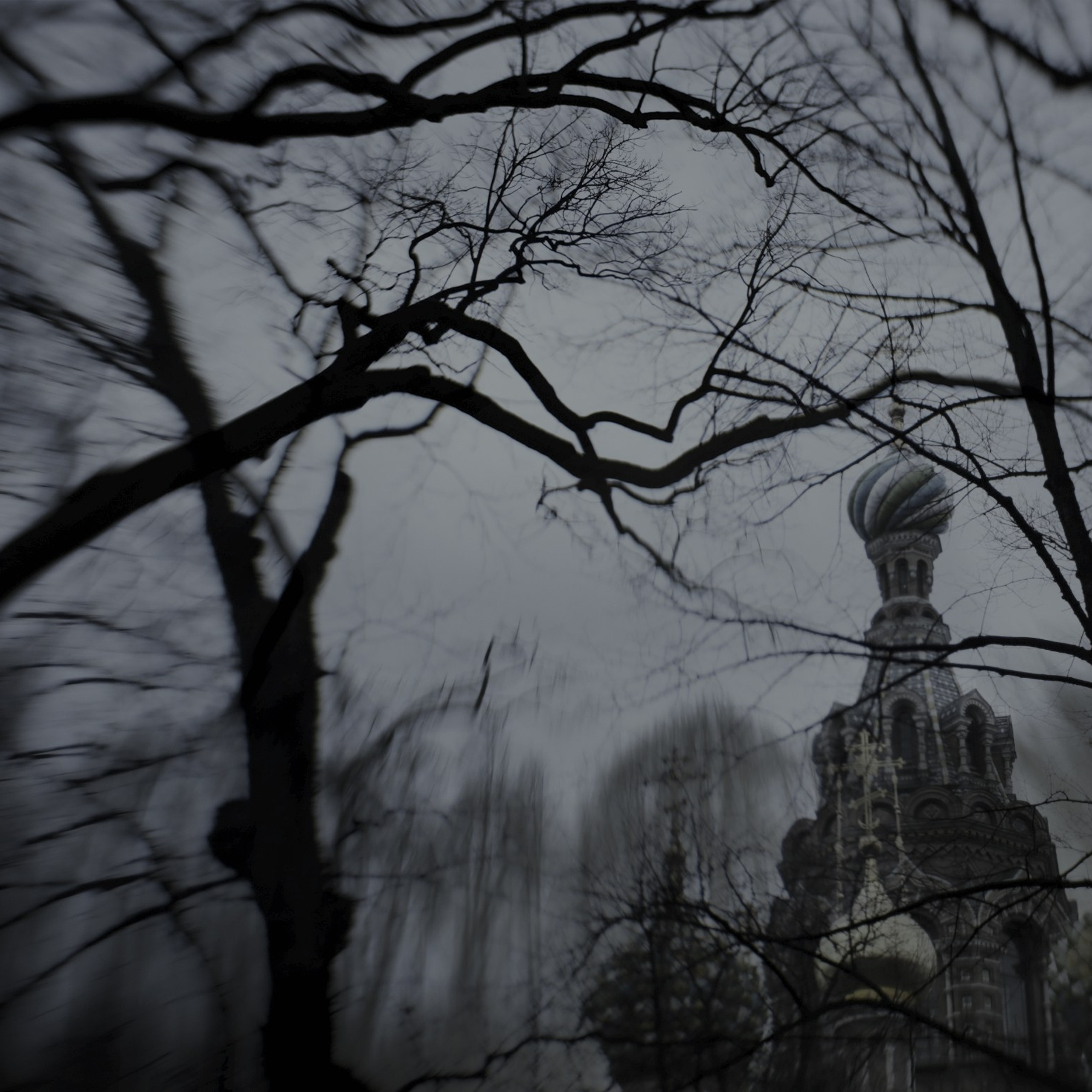 Midnight. 2016-2025. Евгений Курсков