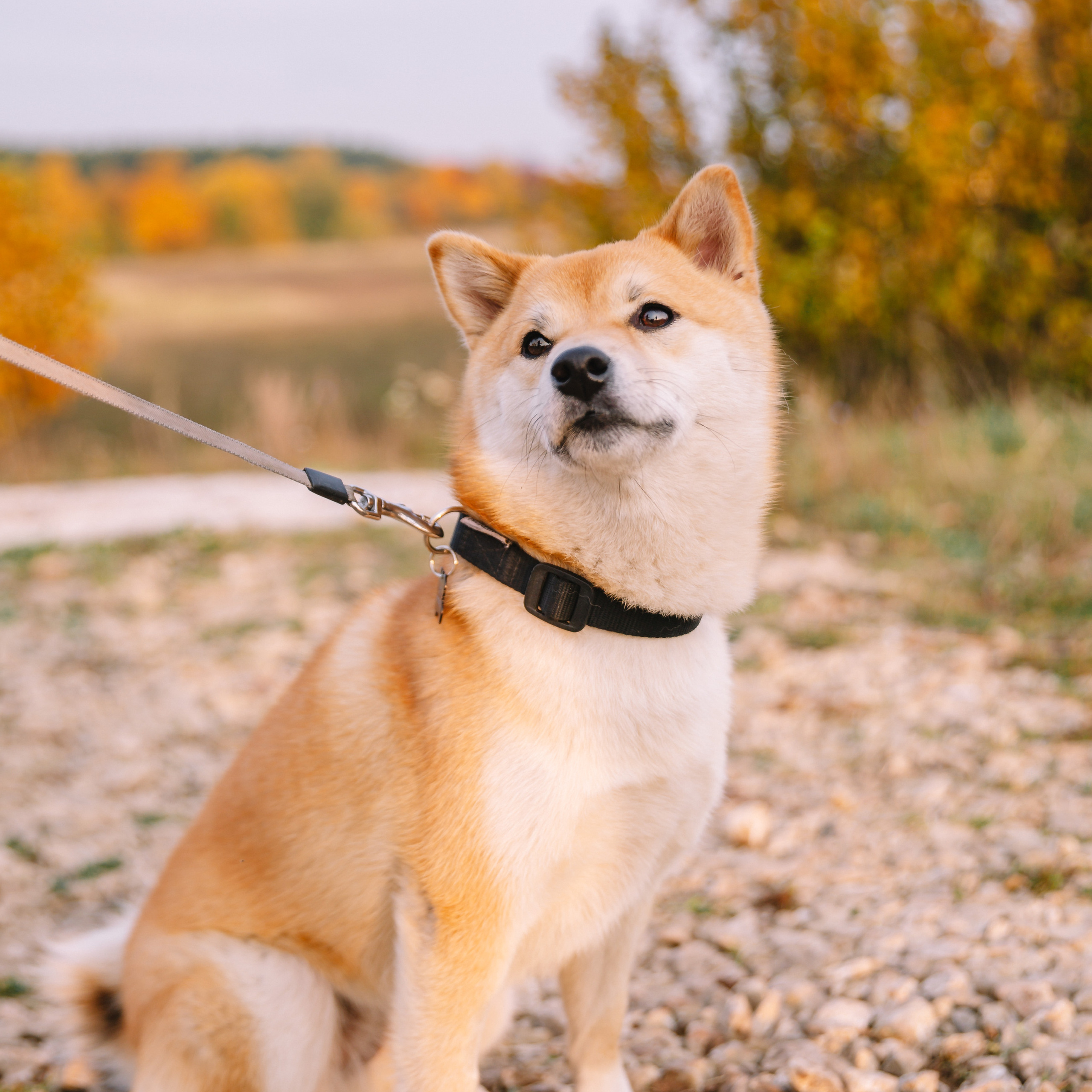 Семья. Фотограф  г. Набережные Челны, Татарстан — Айгуль Зарипова