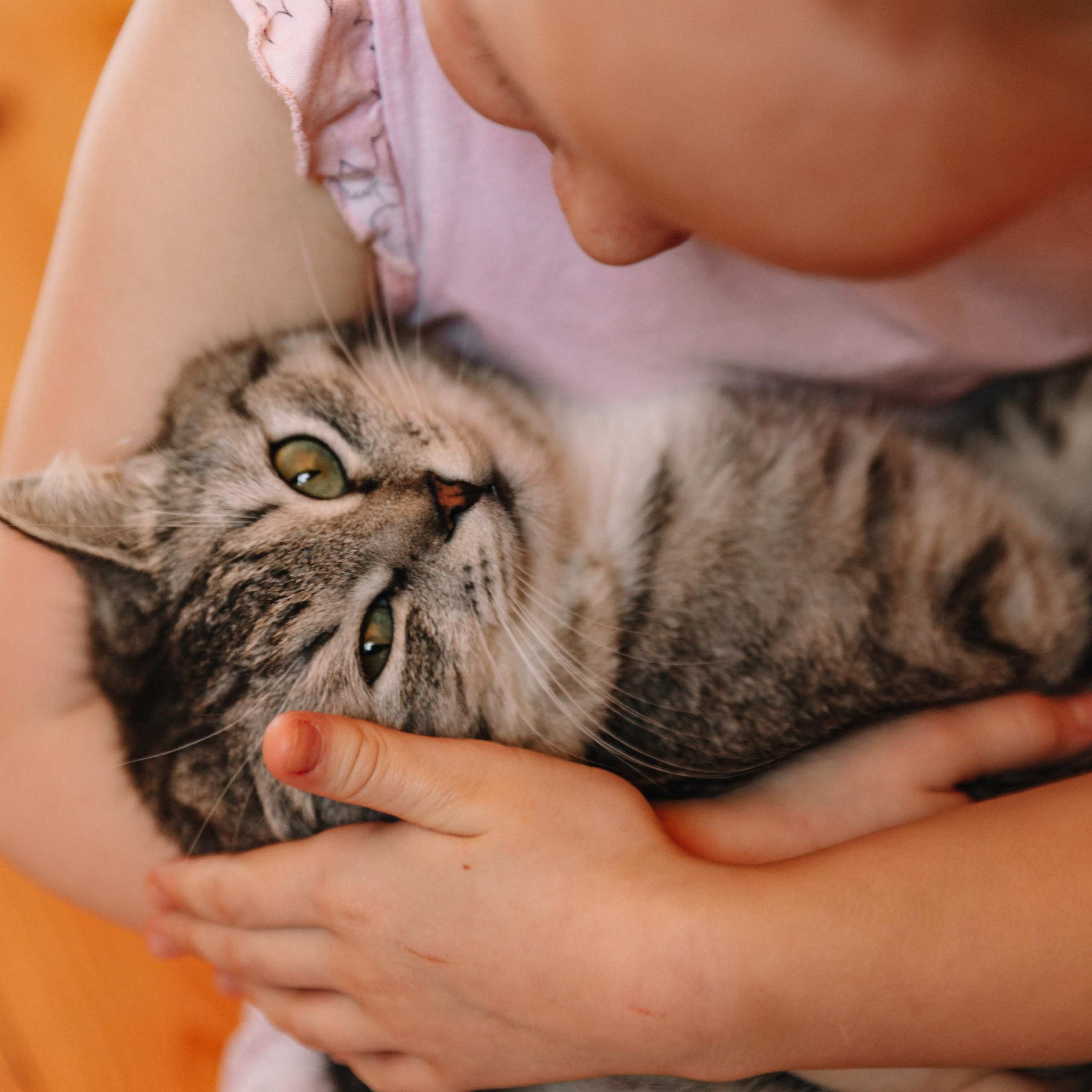 Дети в кадре. Фотограф  г. Набережные Челны, Татарстан — Айгуль Зарипова