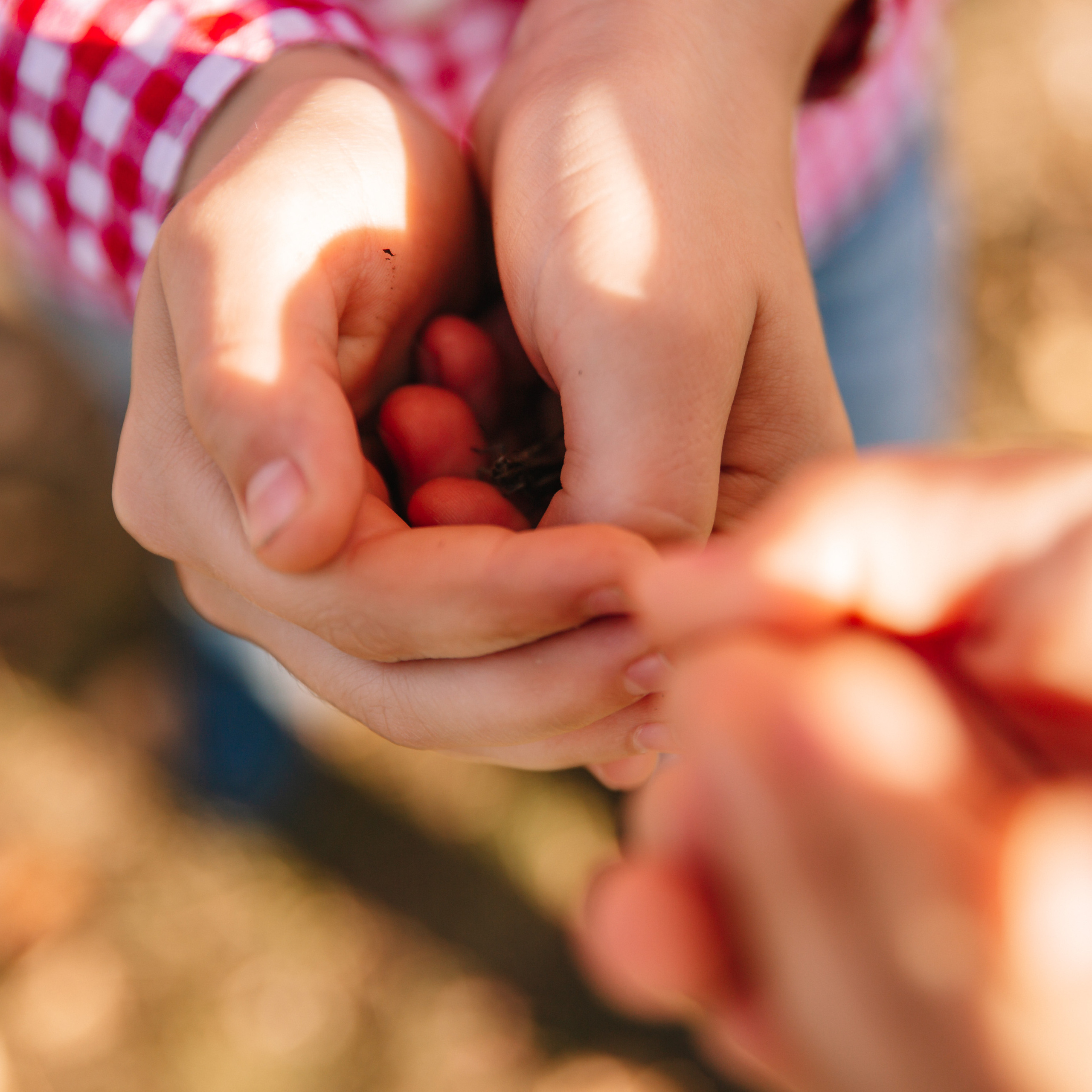 Дети в кадре. Фотограф  г. Набережные Челны, Татарстан — Айгуль Зарипова